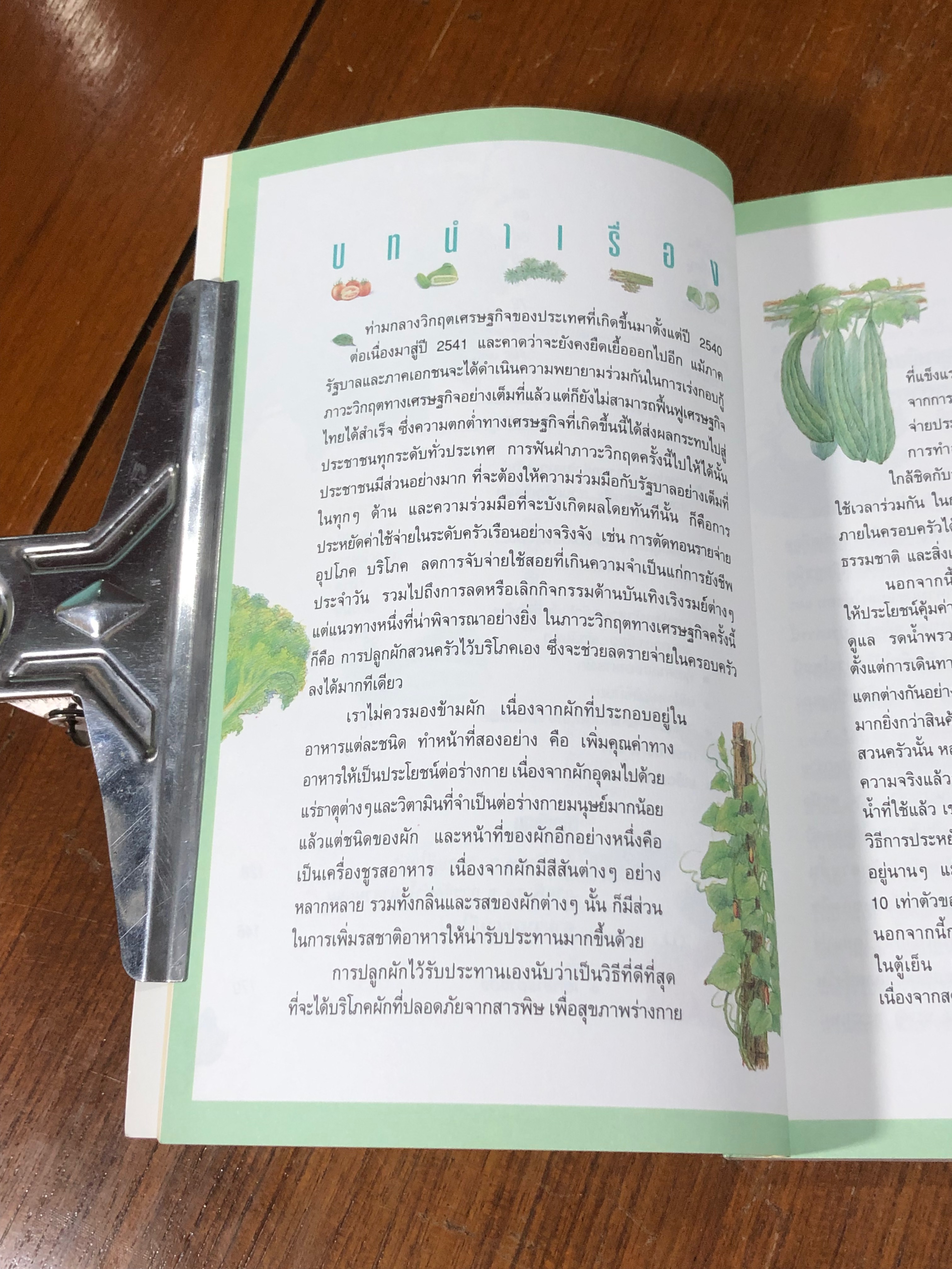 สวนผักรักษ์ไทย / ธ.กสิกรไทย