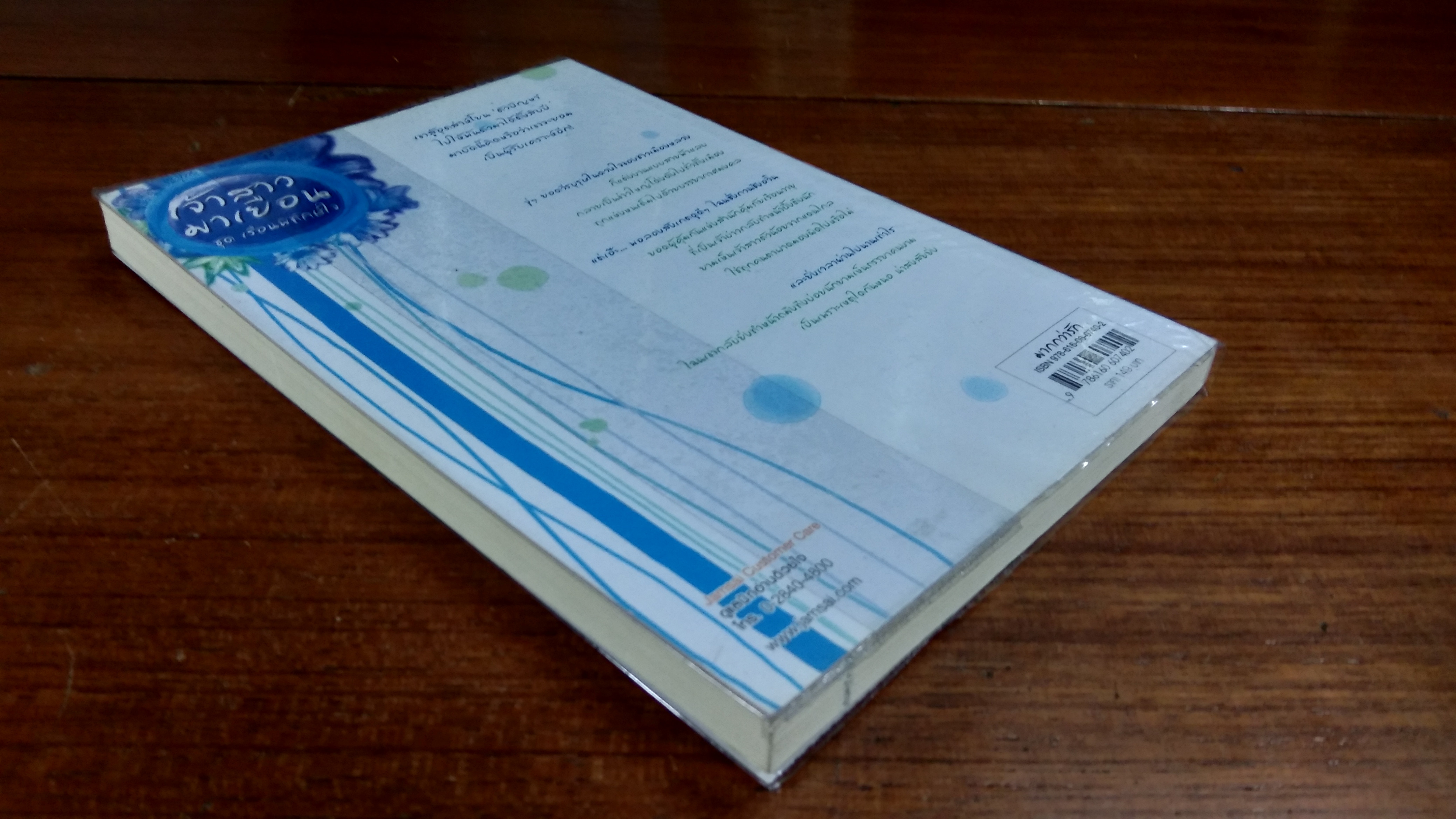 เจ้าสาวมาเยือน / เตี่ยนชิน