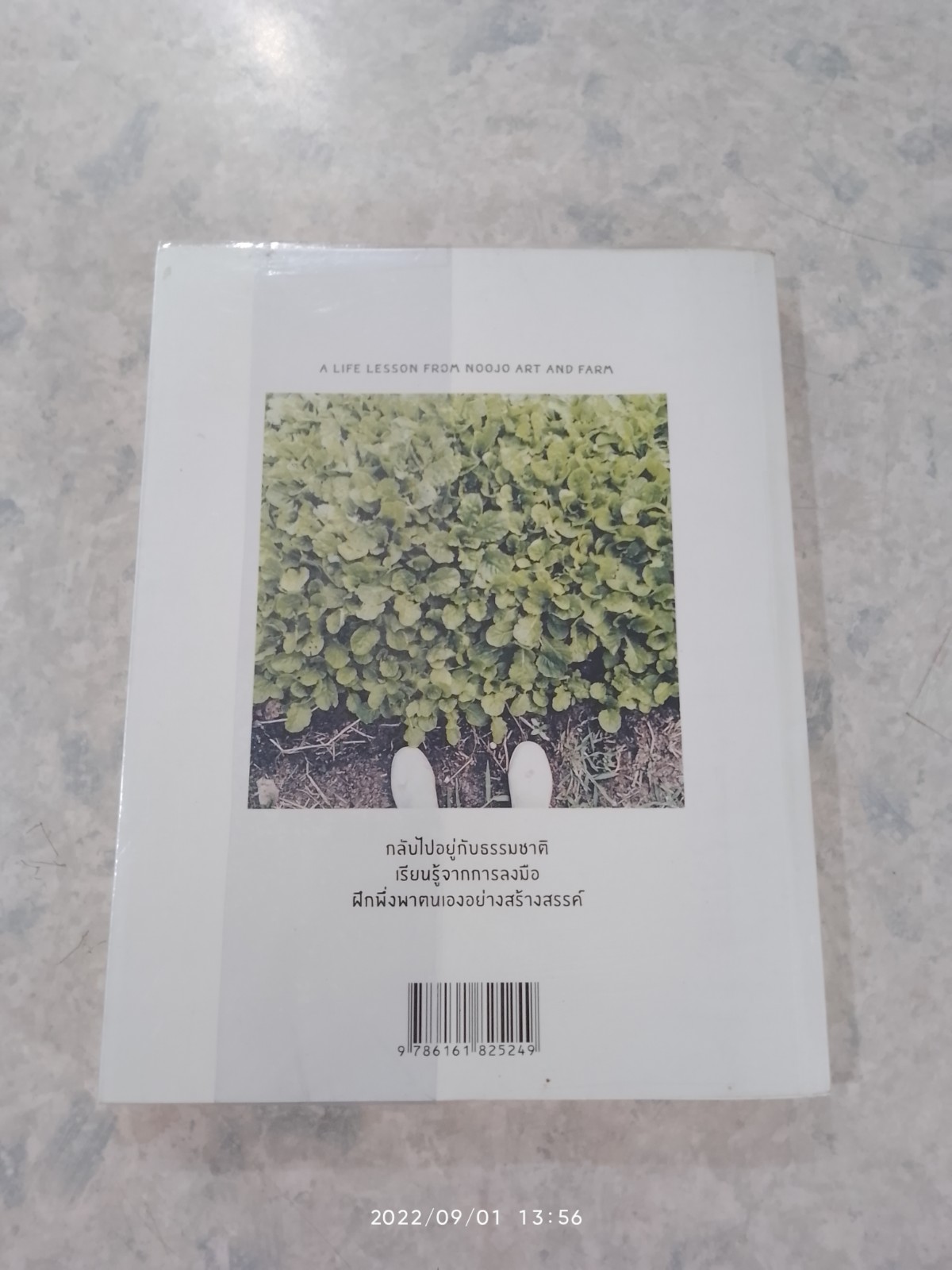 จงทำสวนของเรา / ภัทรพร อภิชิต