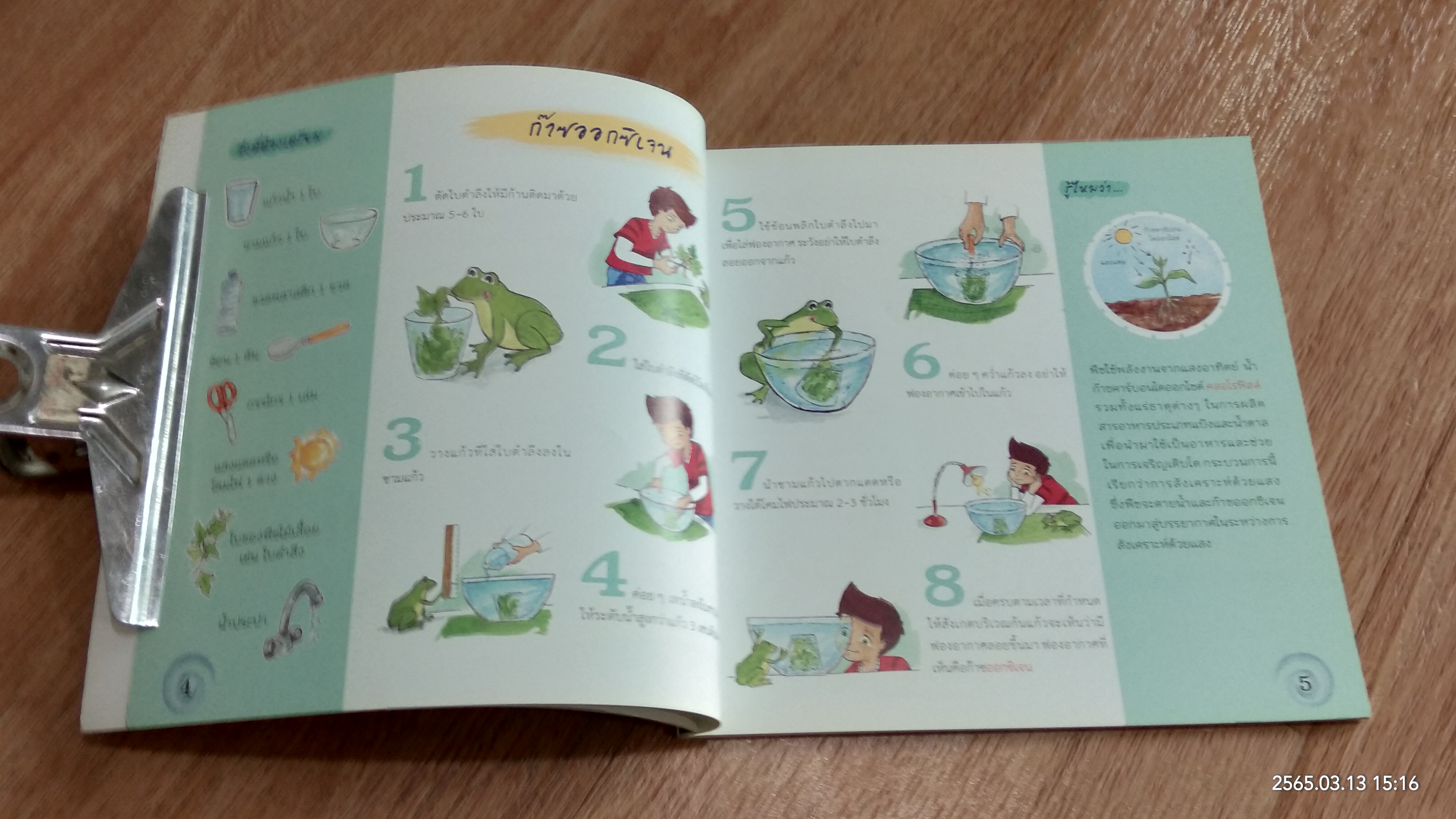 ทดลองวิทย์สารพัดนึก สิ่งมีชีวิต