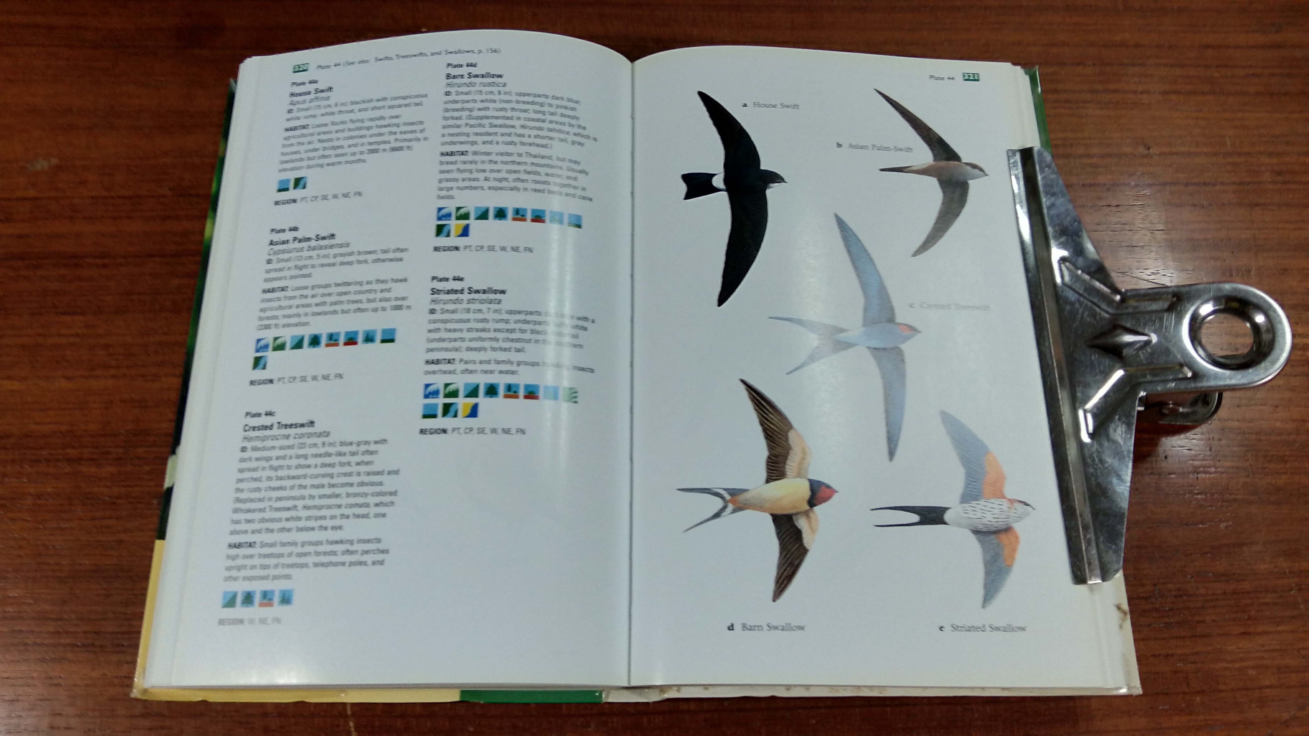 TRAVELLERS' WILDLIFE GUIDES THAILAND / DAVID L. PEARSON