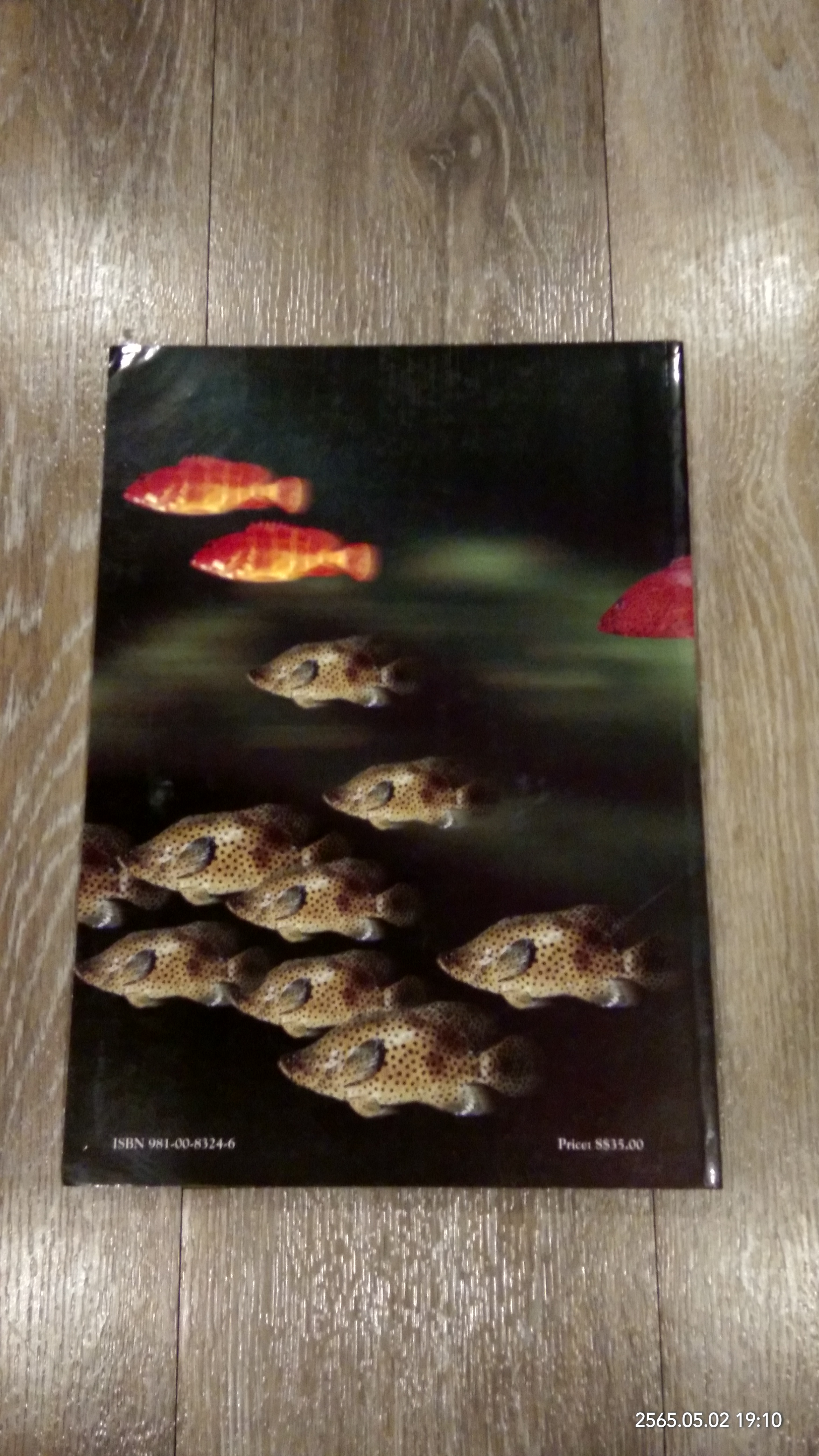 A COLOUR GUIDE TO THE FISHES OF THE SOUTH CHINA SEA AND THE ANDAMAN SEA