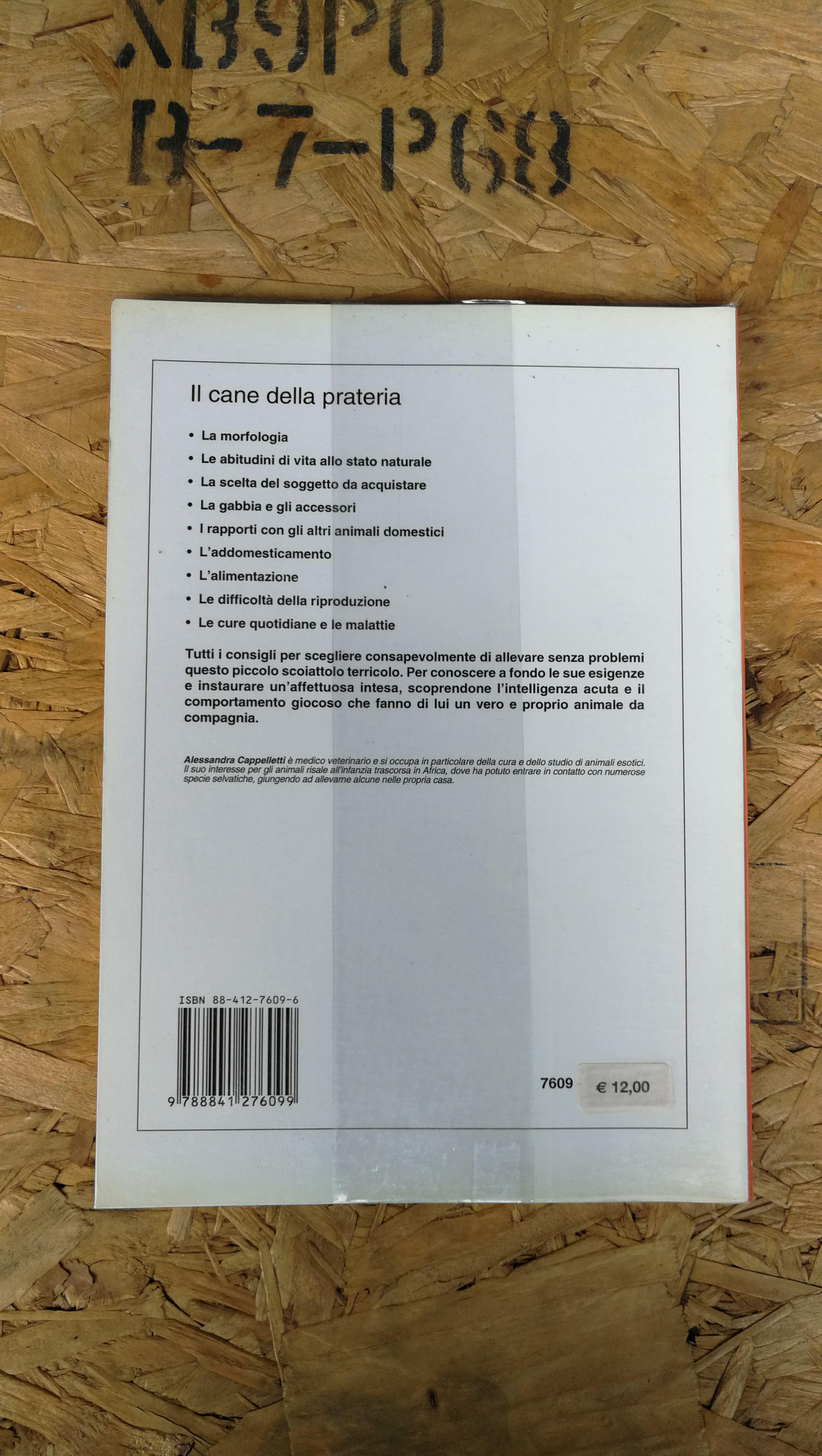 IL CANE DELLA PRATERIA