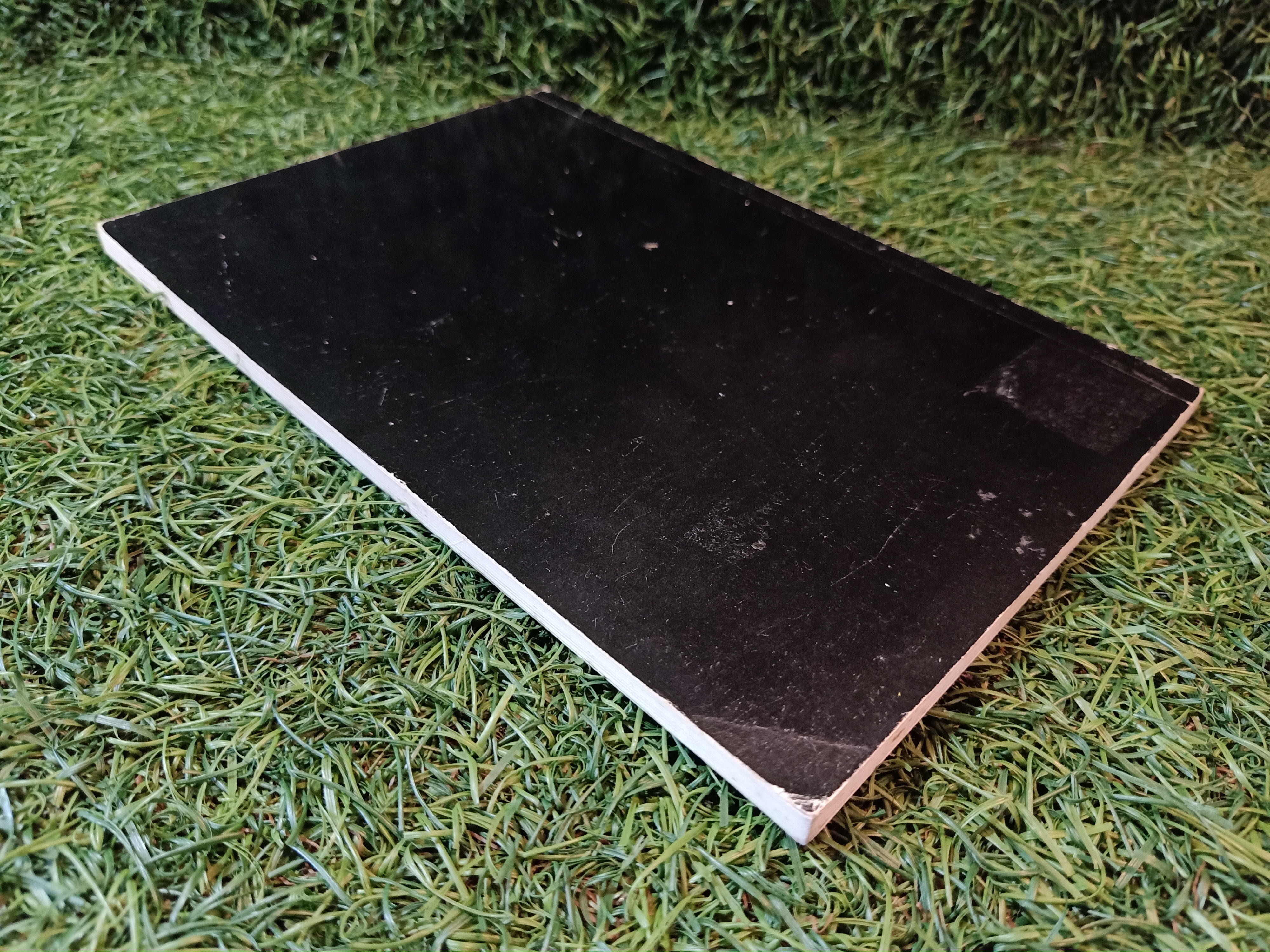 การเลี้ยงไก่แจ้ / สุเทพ ศุภมงคล