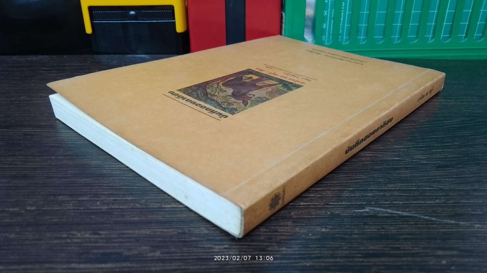 บันทึกของกาดิชง / เคาน์เดส เดอ เซกูร์