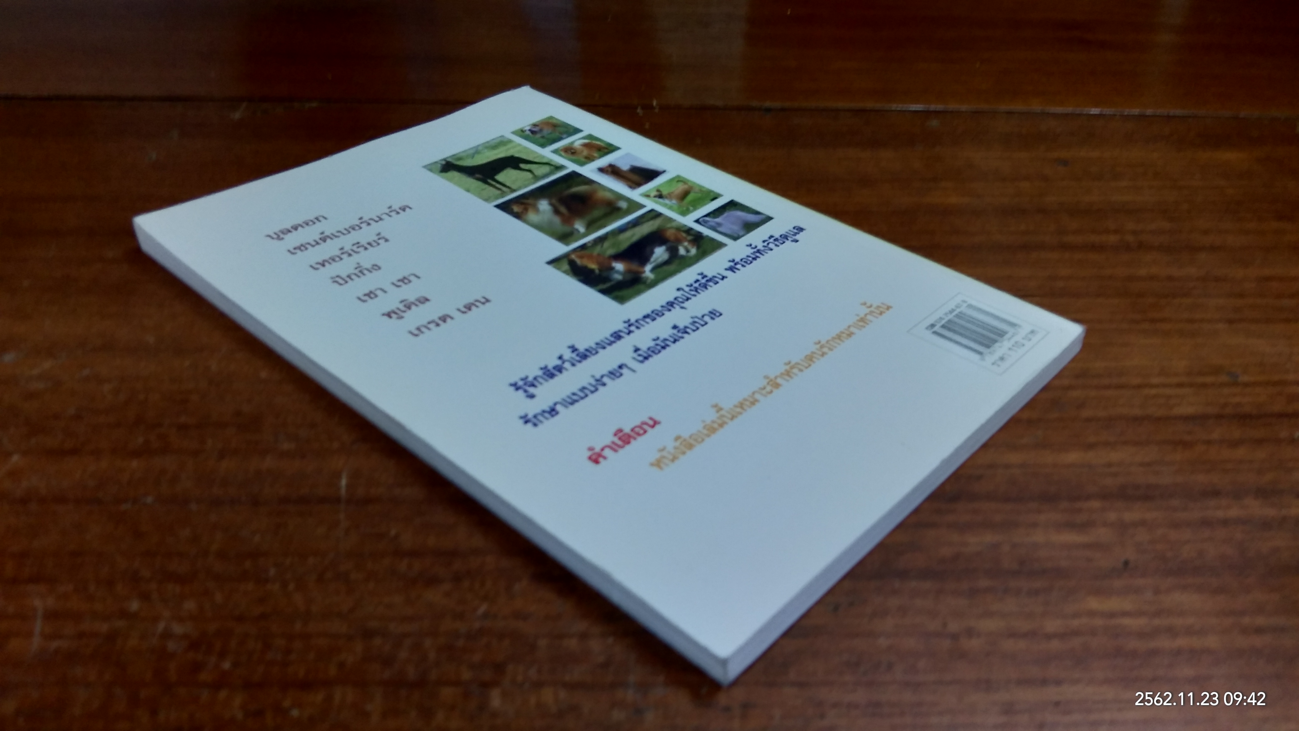 ครบเครื่องเรื่องหมา...หมา / พันนิตา เรืองสกุล