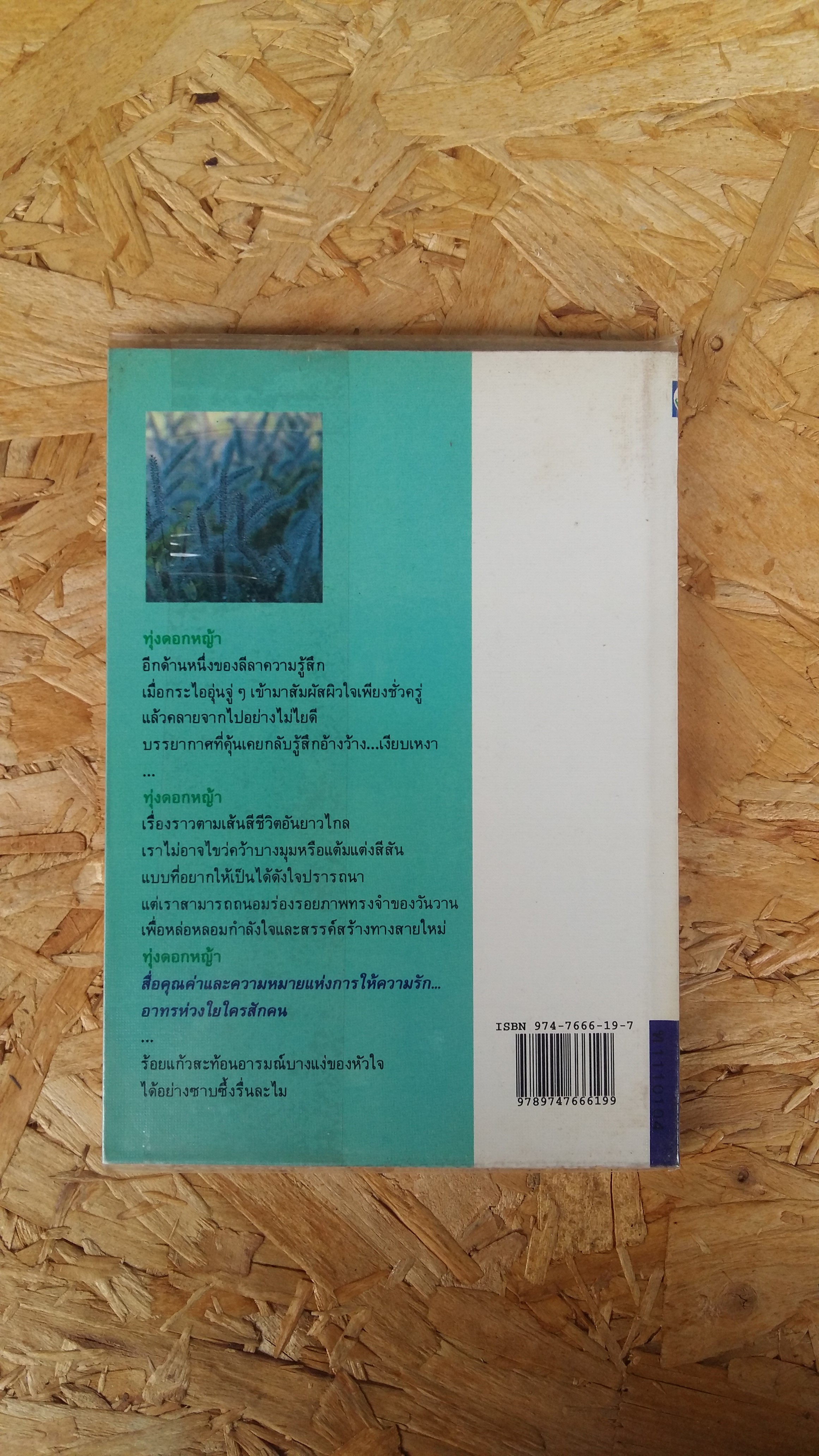 ทุ่งดอกหญ้า / ประภัสสร เสวิกุล