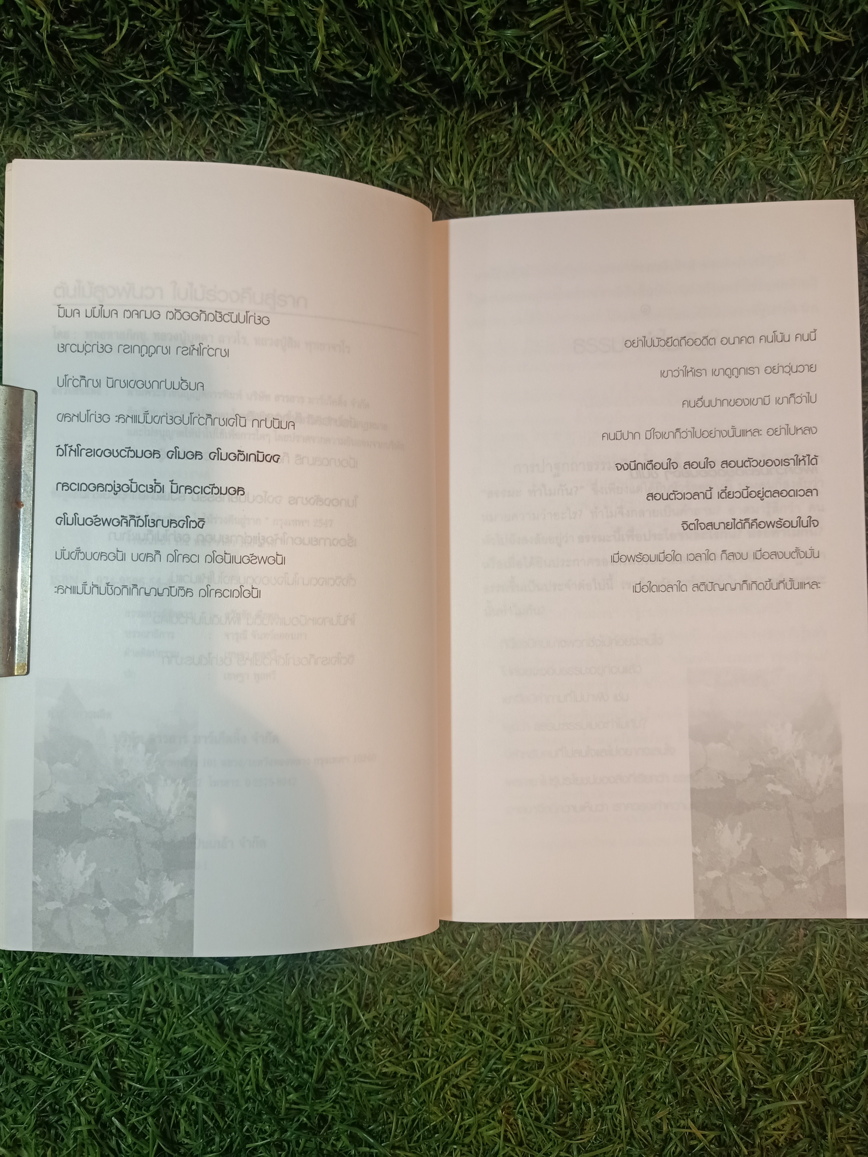 ต้นไม้สูงพันวา ใบไม้ร่วงคืนสู่ราก / พุทธทาสภิกขุ หลวงปู่บุดดาถาวโร หลวงปู่สิม พุทธาจาโร