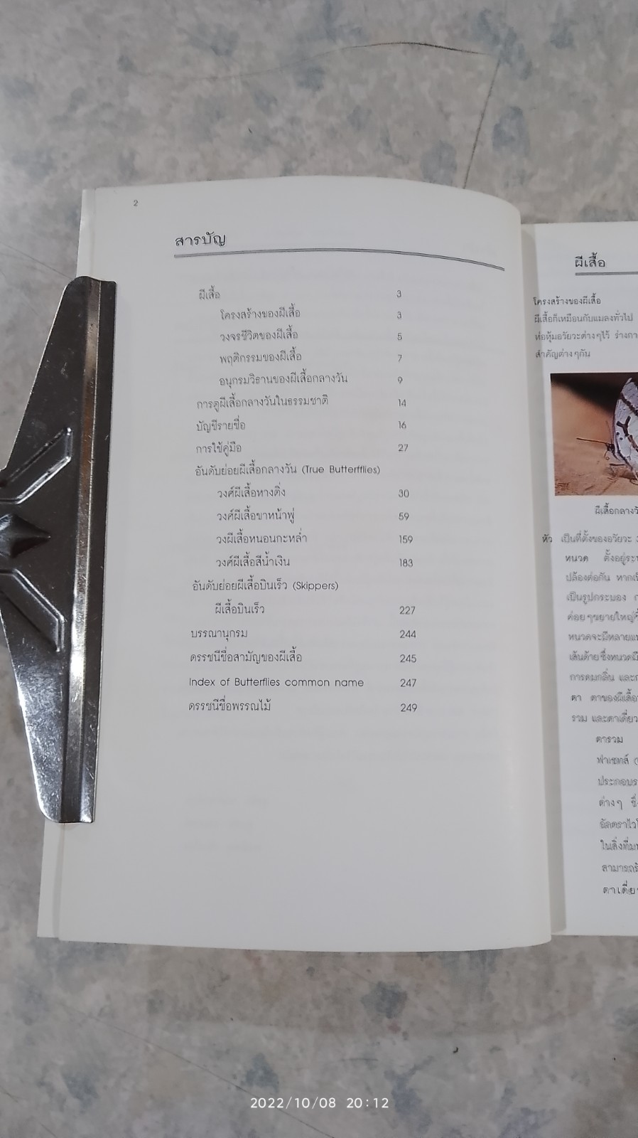 ผีเสื้อ คู่มือสำรวจและสื่อความหมายธรรมชาติ / สุรชัย ชลตำรงค์กุล