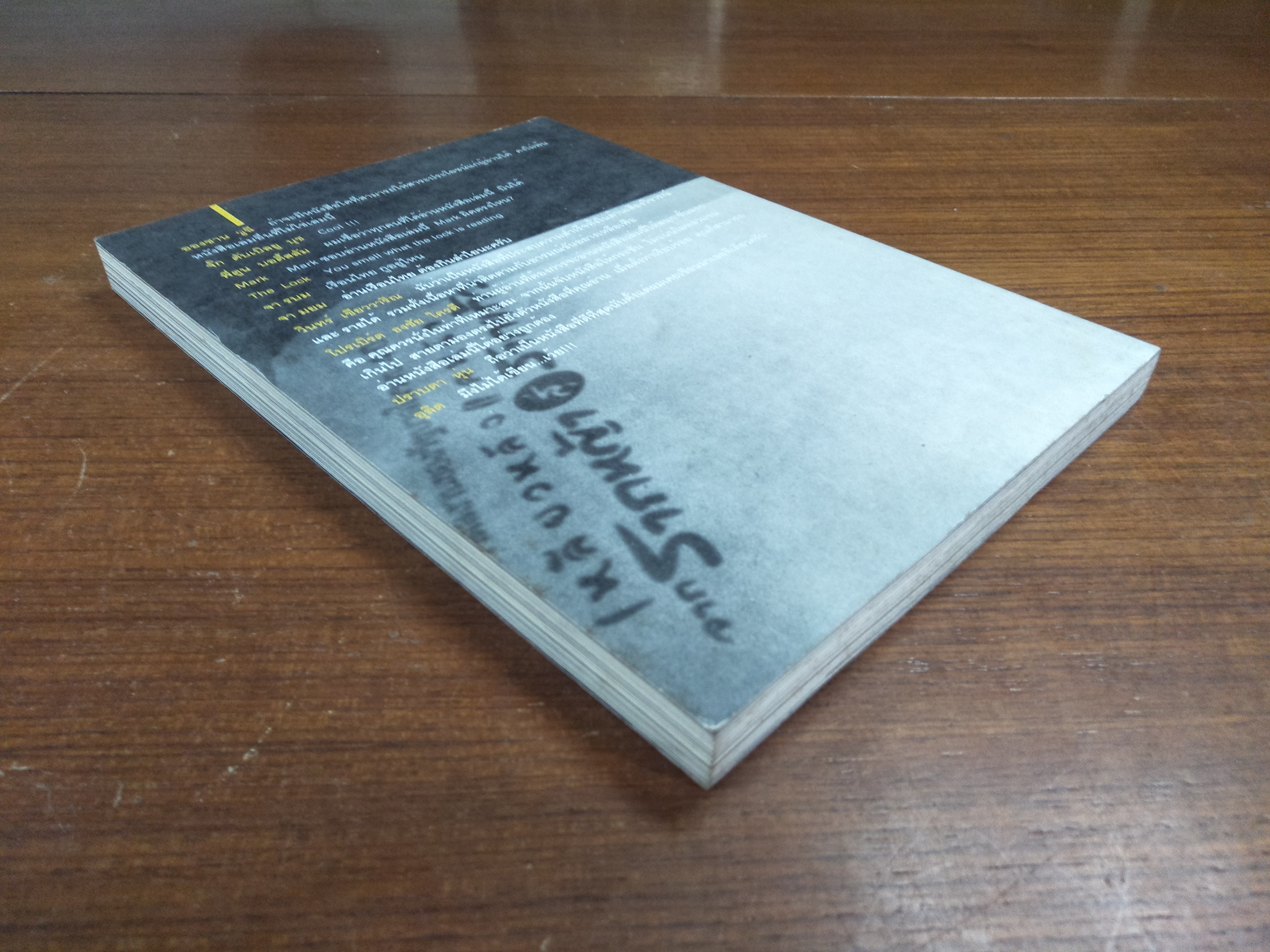 เรือนไทยรักไทย / ณัฐพงษ์ รักไทย