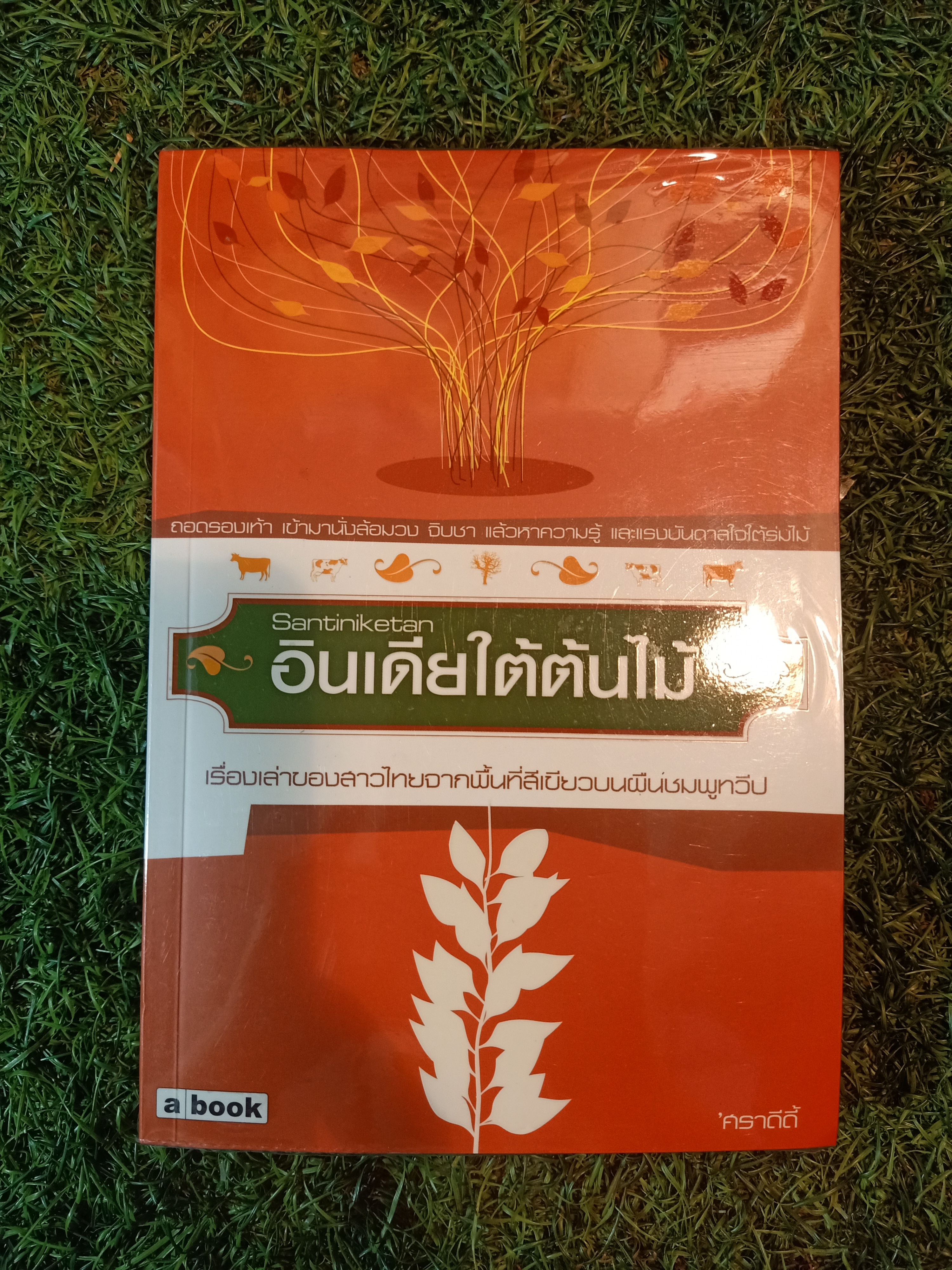 อินเดียใต้ต้นไม้ เรื่องเล่าของสาวไทยจากพื้นที่สีเขียวบนผืนชมพูทวีป / ศราดีดี้