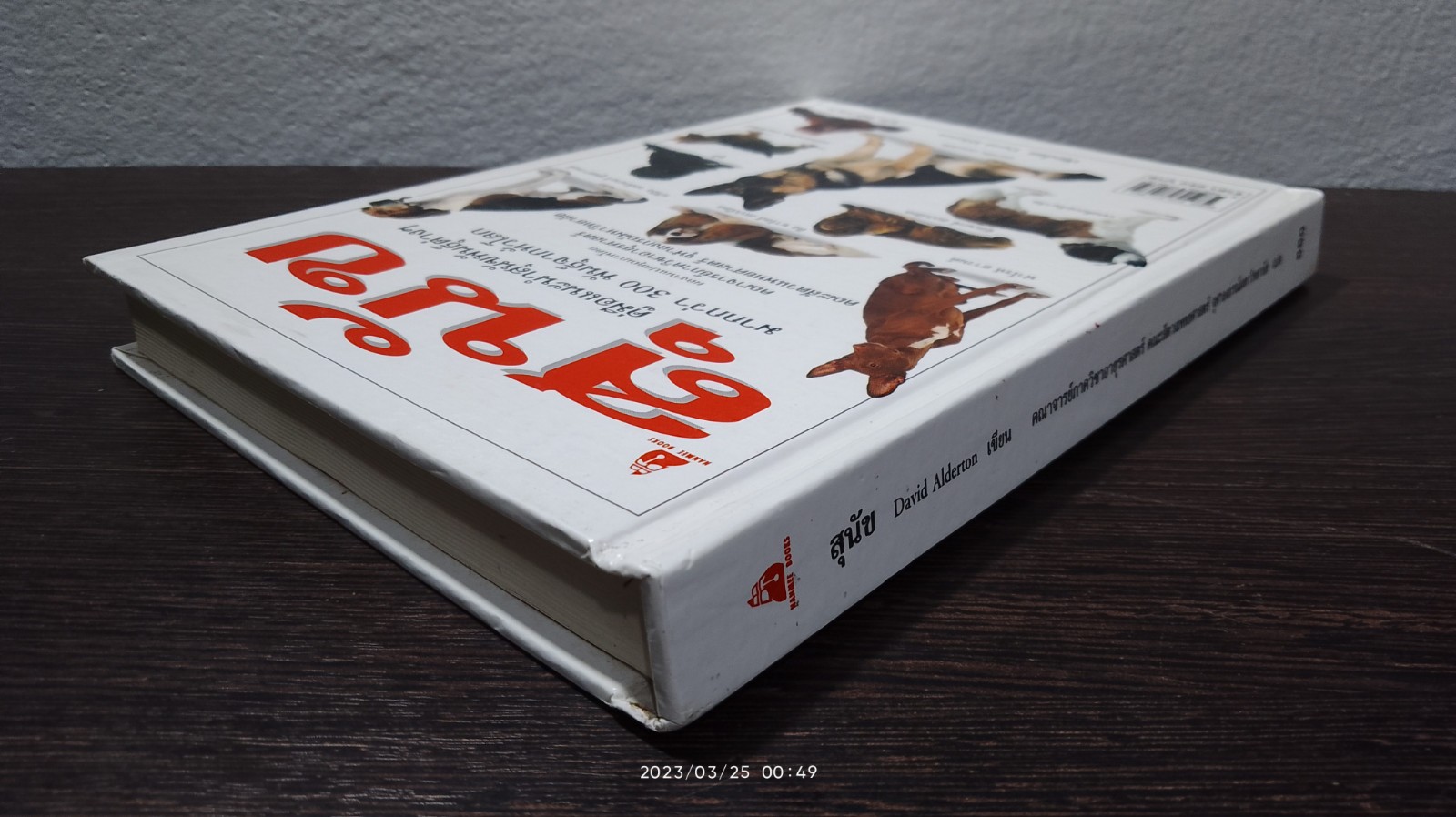 สุนัข / David Alderton