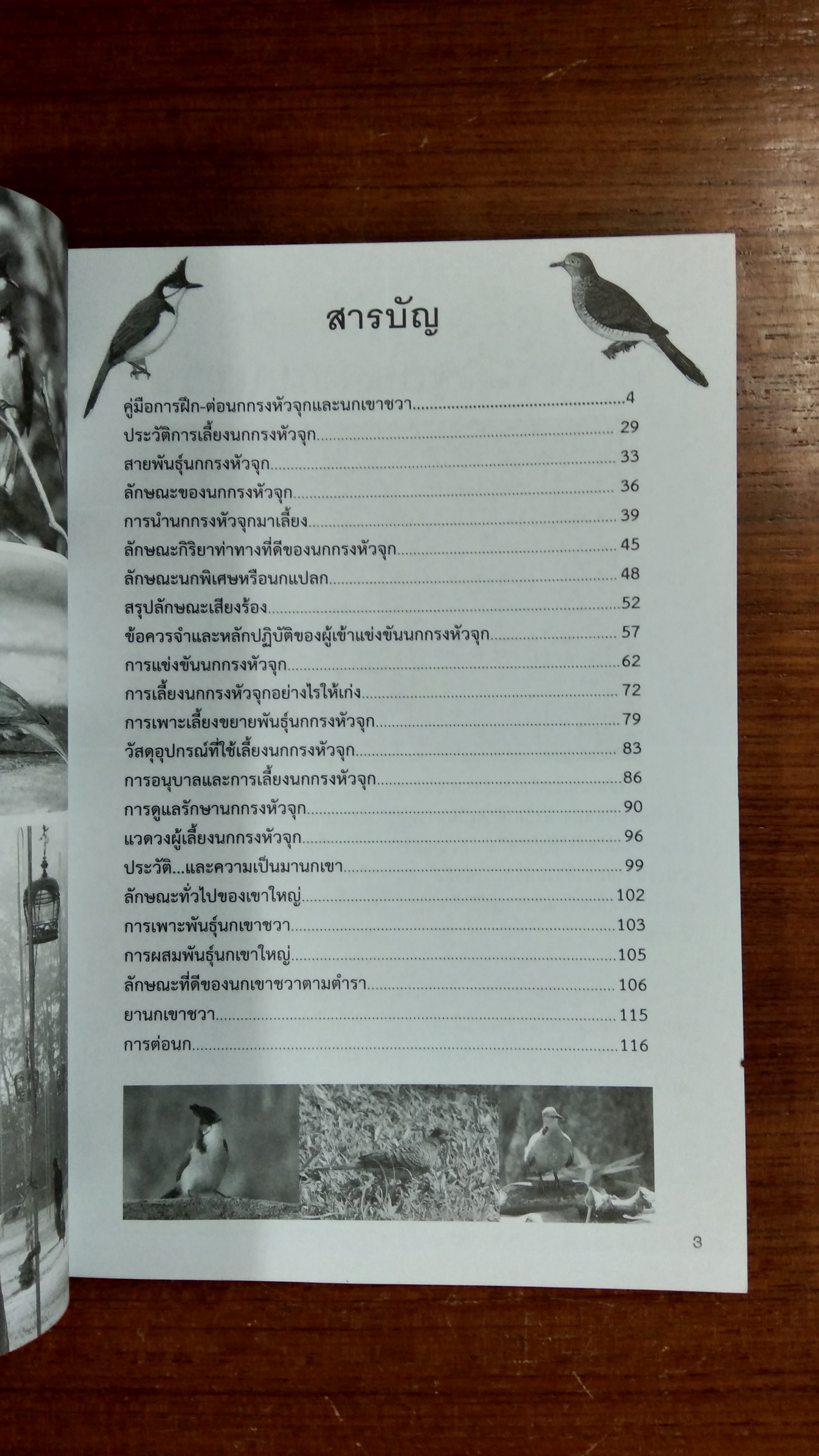 คู่มือฝึก - ต่อ นกกรงหัวจุก นกเขาชวา นานาชนิด