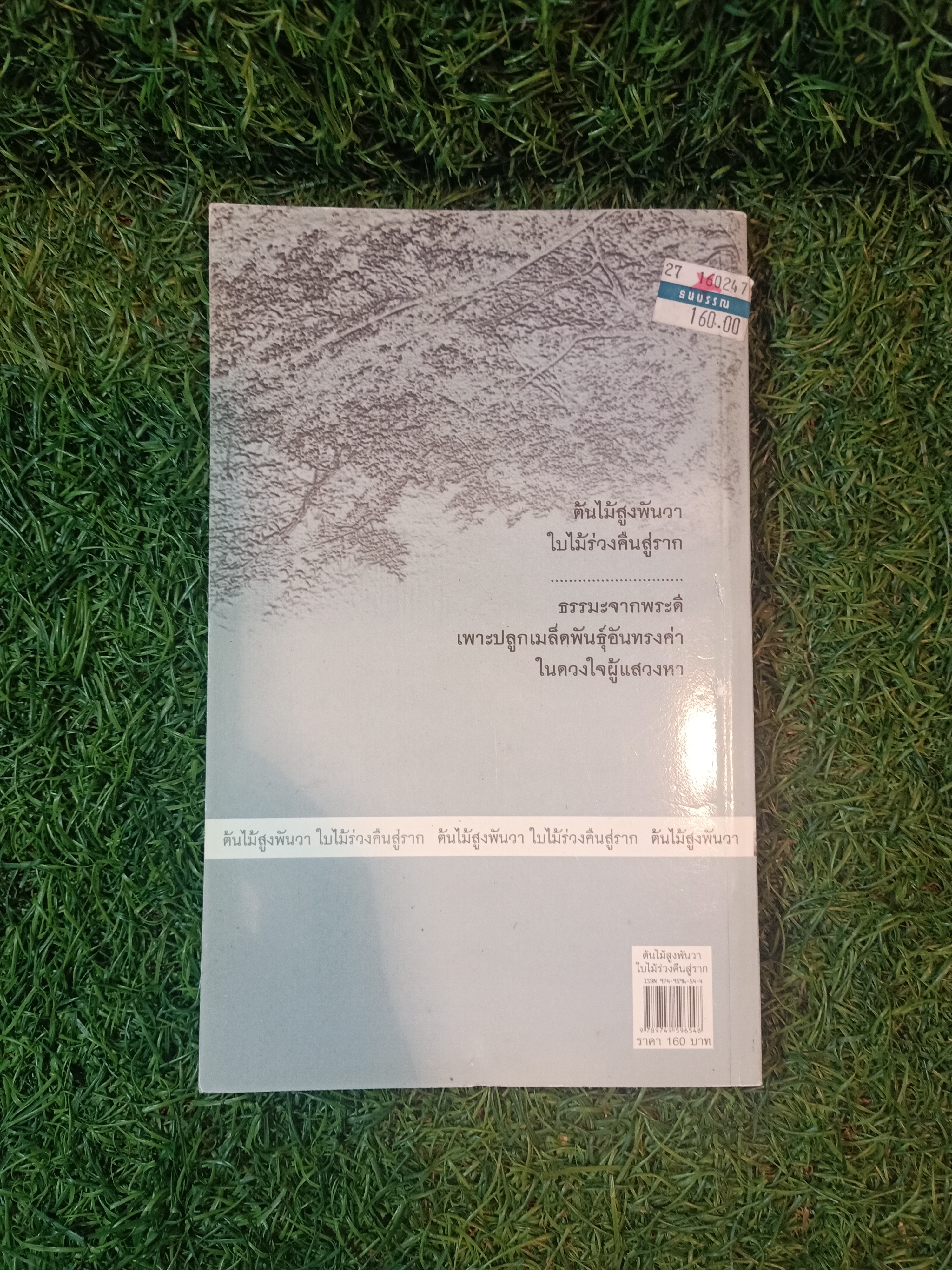 ต้นไม้สูงพันวา ใบไม้ร่วงคืนสู่ราก / พุทธทาสภิกขุ หลวงปู่บุดดาถาวโร หลวงปู่สิม พุทธาจาโร