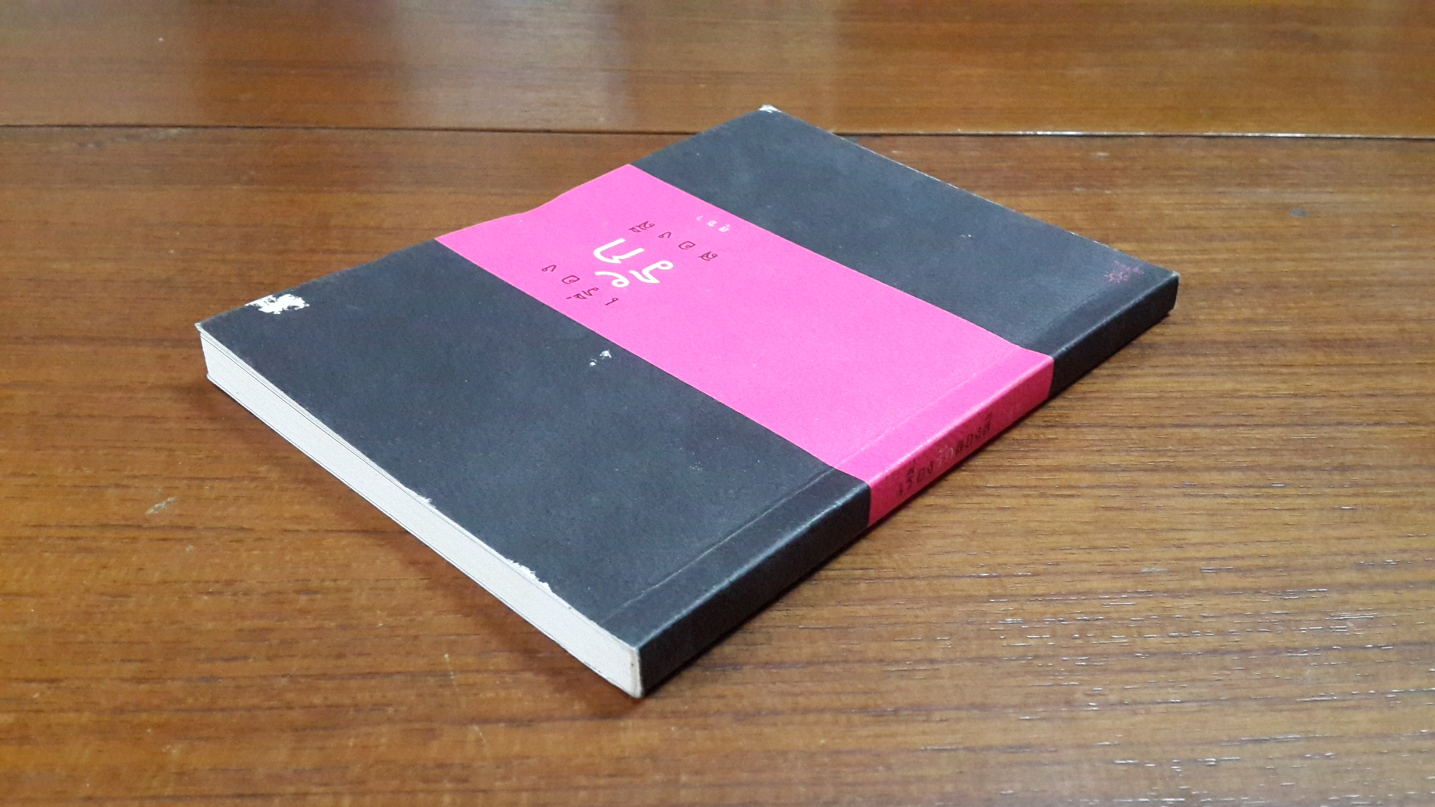 เรื่องรักสองสี / สุชา