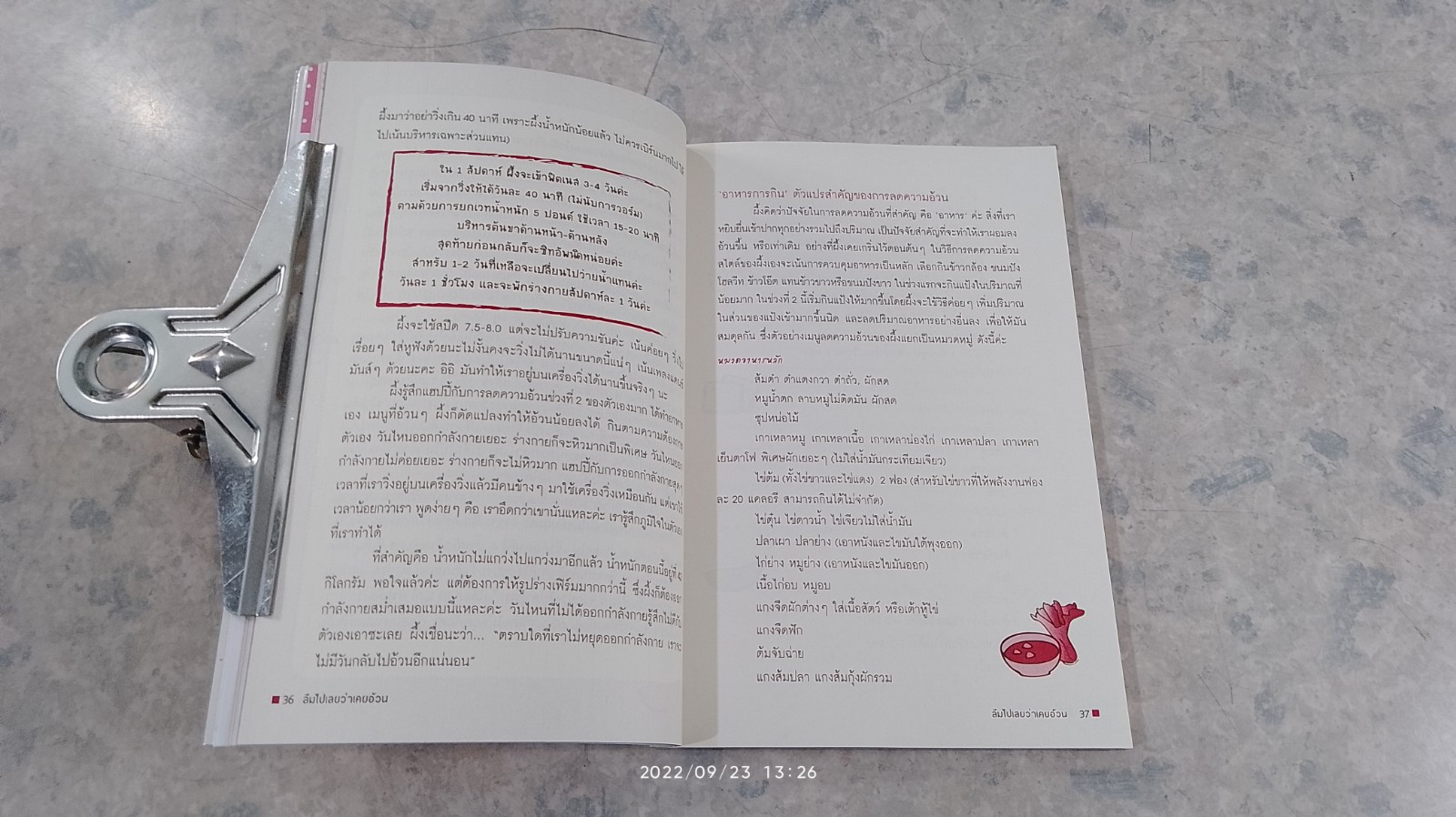 ลืมไปเลยว่าเคยอ้วน / หนูผึ้ง