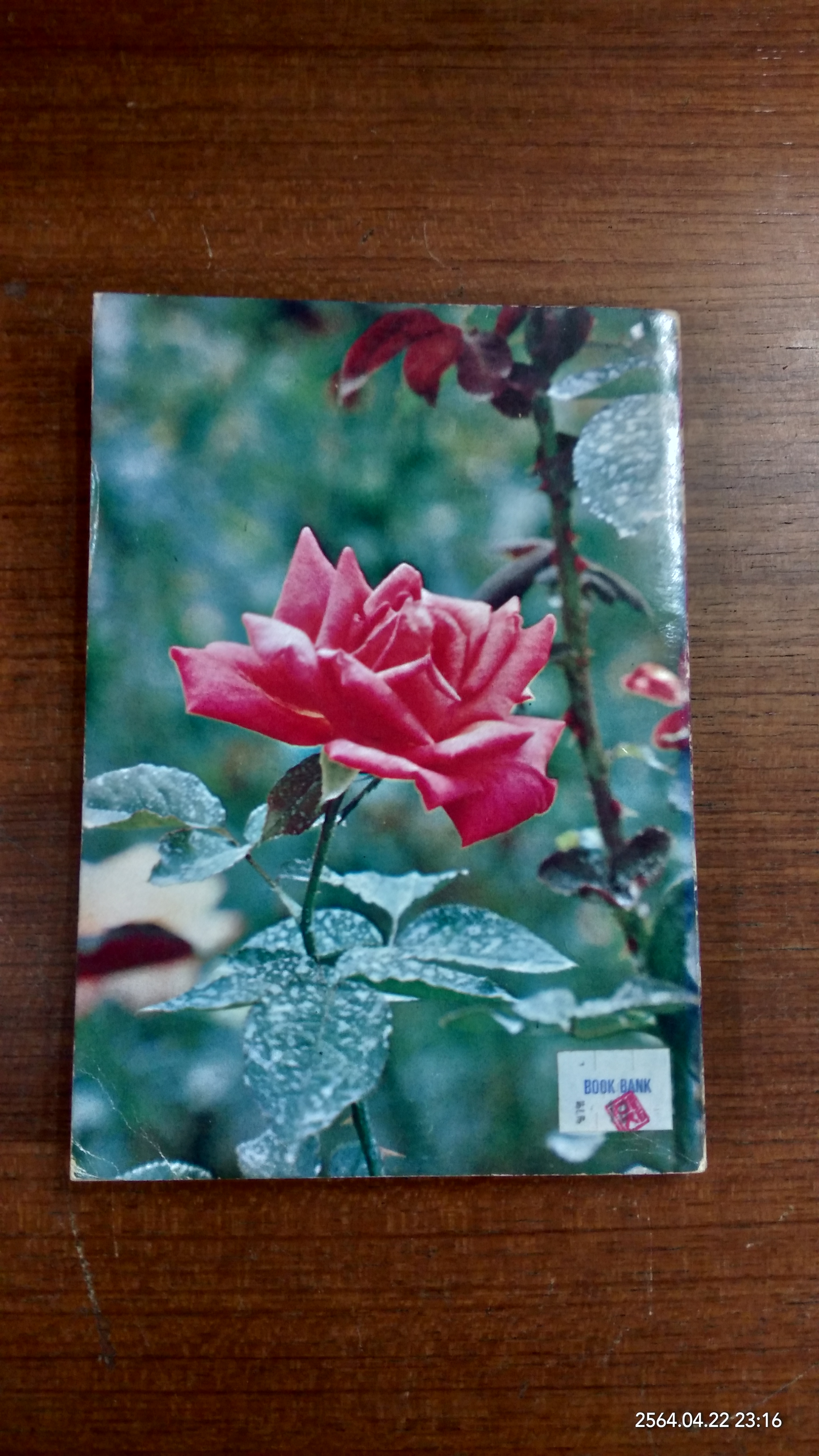 สวนหลังบ้าน 7 / สุนทร ปุณโณทก