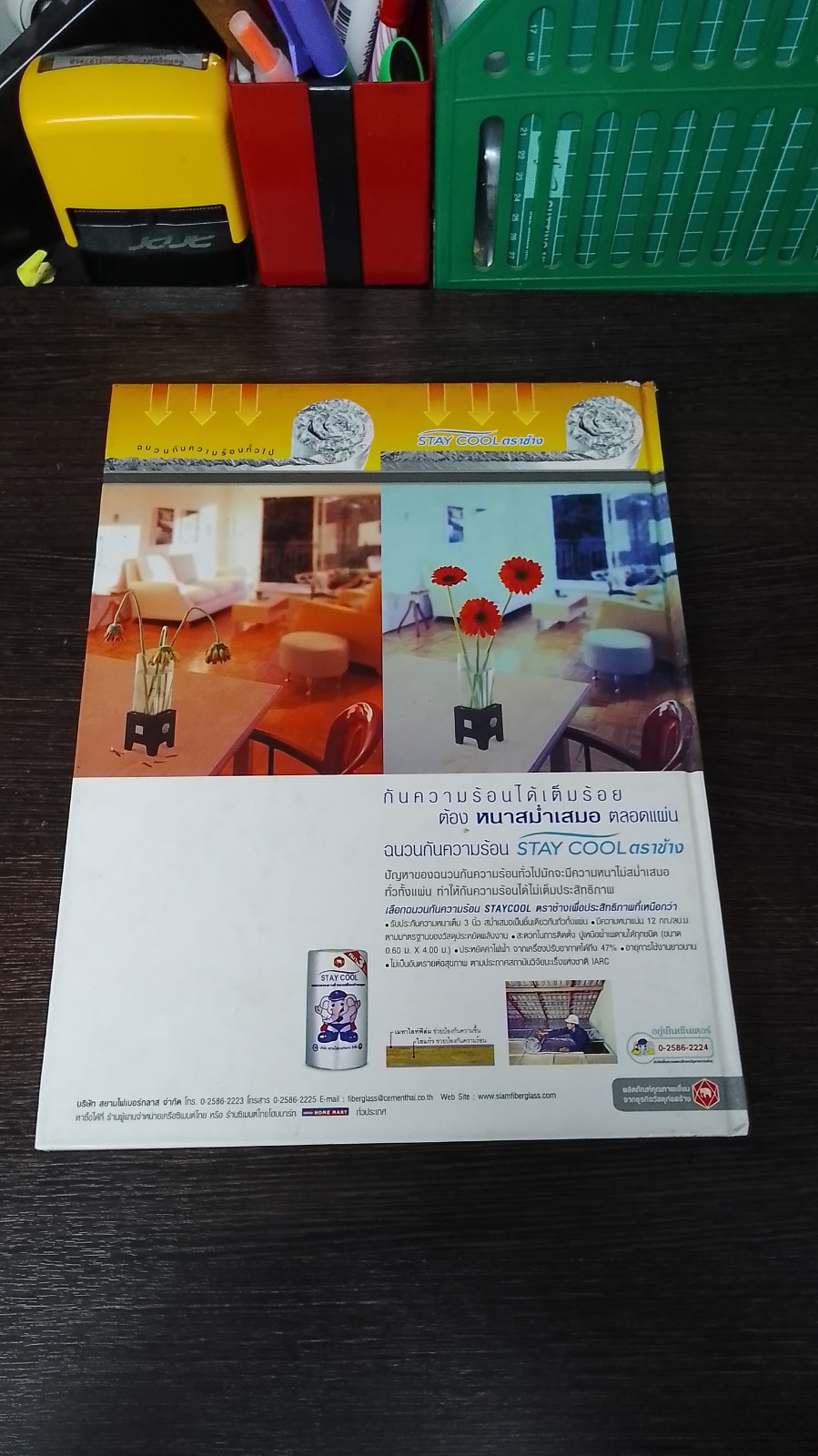 บ้านดีไซเนอร์ / บ้านและสวน