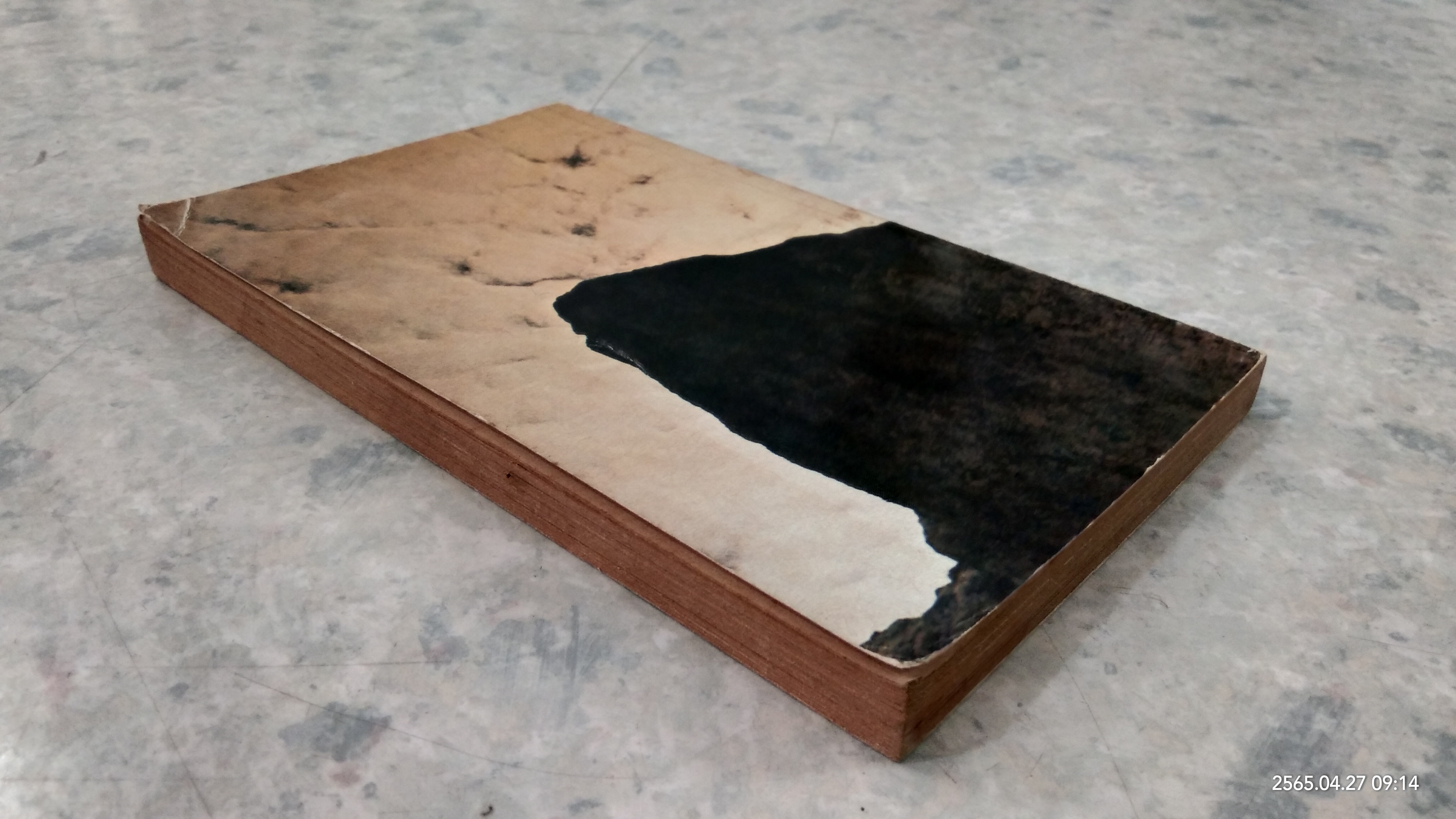 เสพสม บ่มิสม ชุดพิเศษ (1) / น.พ.นพพร