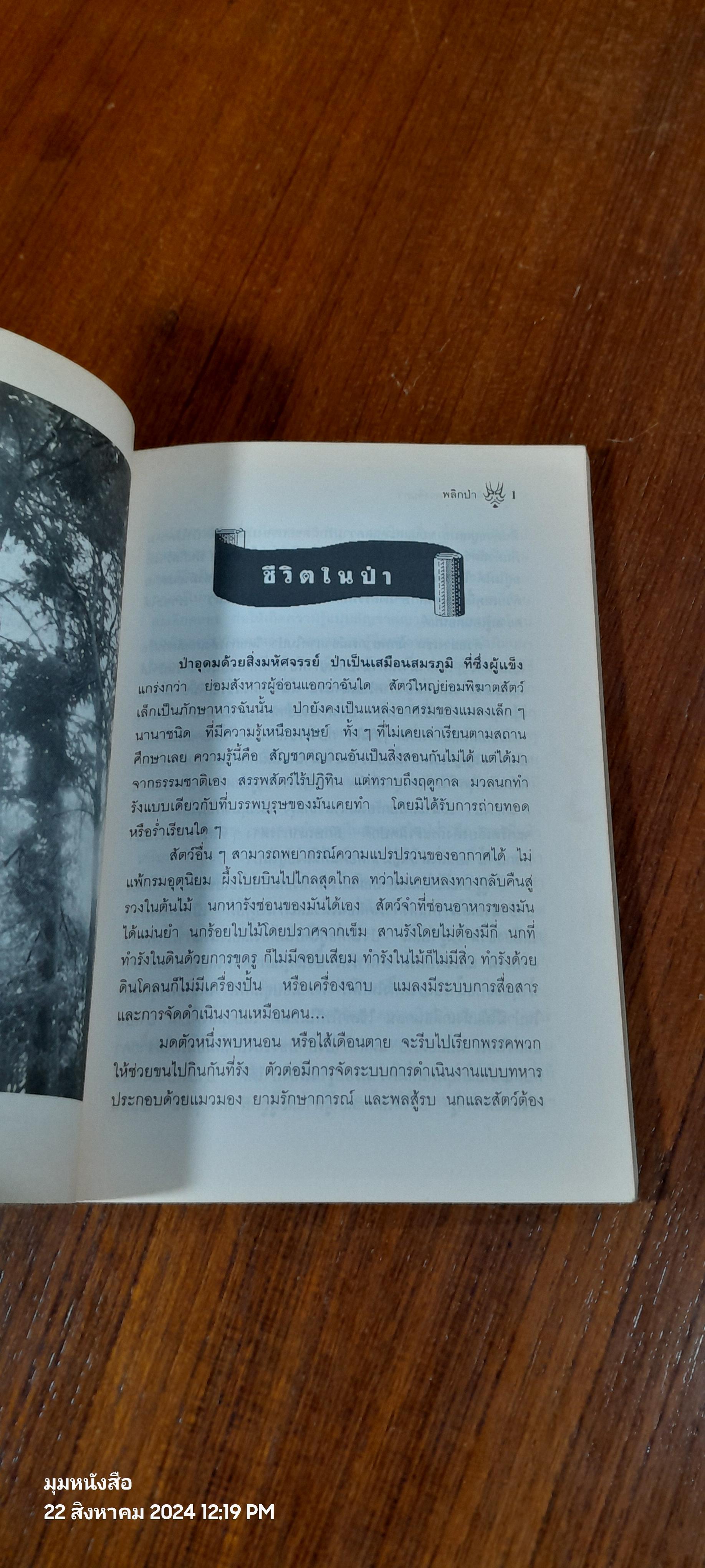 พลิกป่า (ล่าประสบการณ์) / จินดา ดวงจินดา