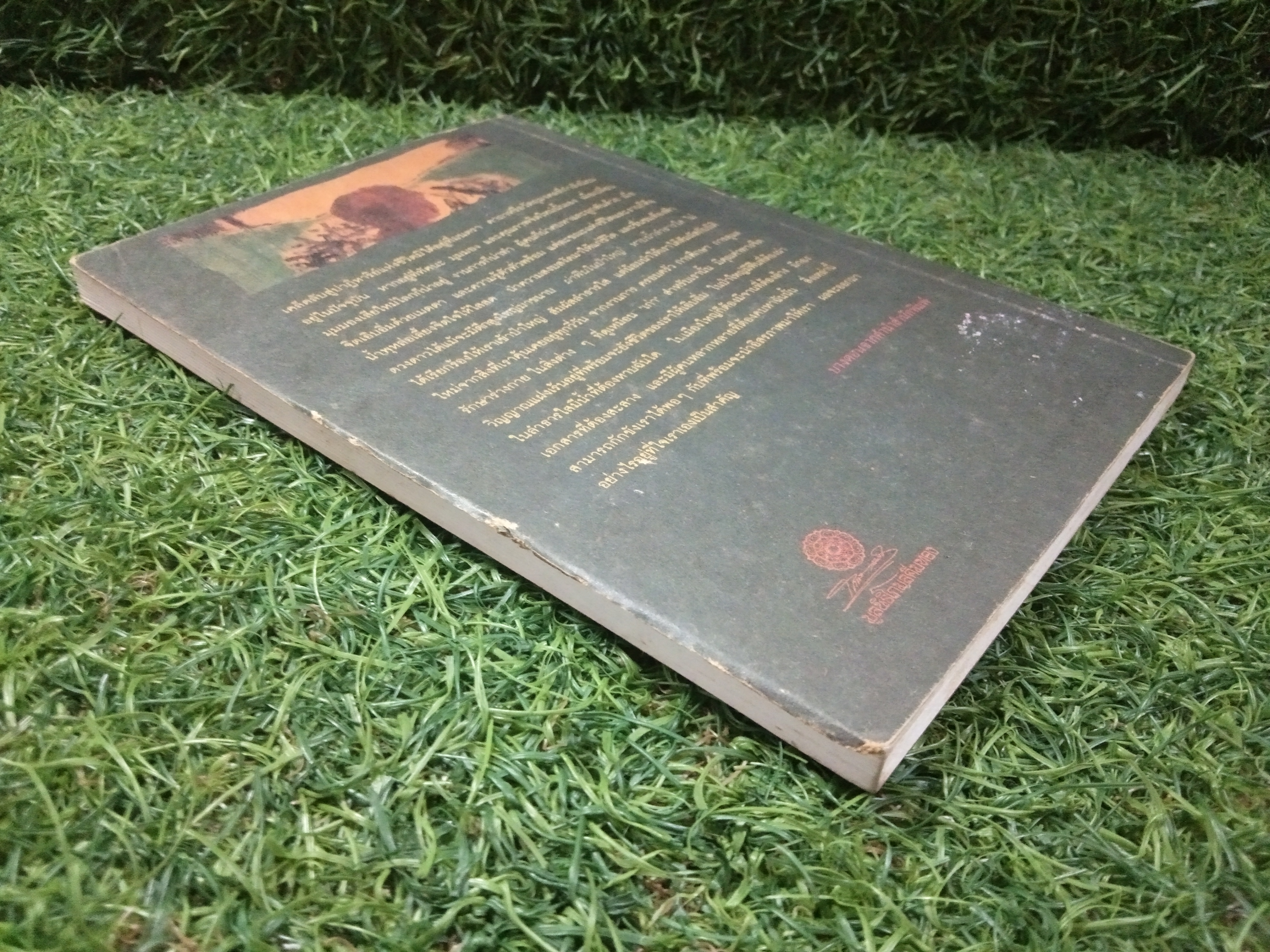 ฝ่าฝืนในป่าใหญ่ หาบน้ำลึกธารใส / ริค ฟิลดซ์ แพกกี้ เทย์เลอร์ เรกช์ เวย์เลอร์ และ ริค อินกราสซี