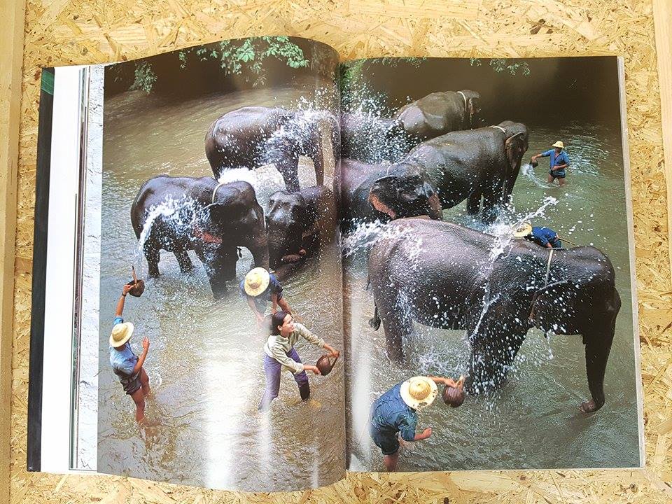 A Girl from Northern Thailand / SOBUN TSUKIKAWA