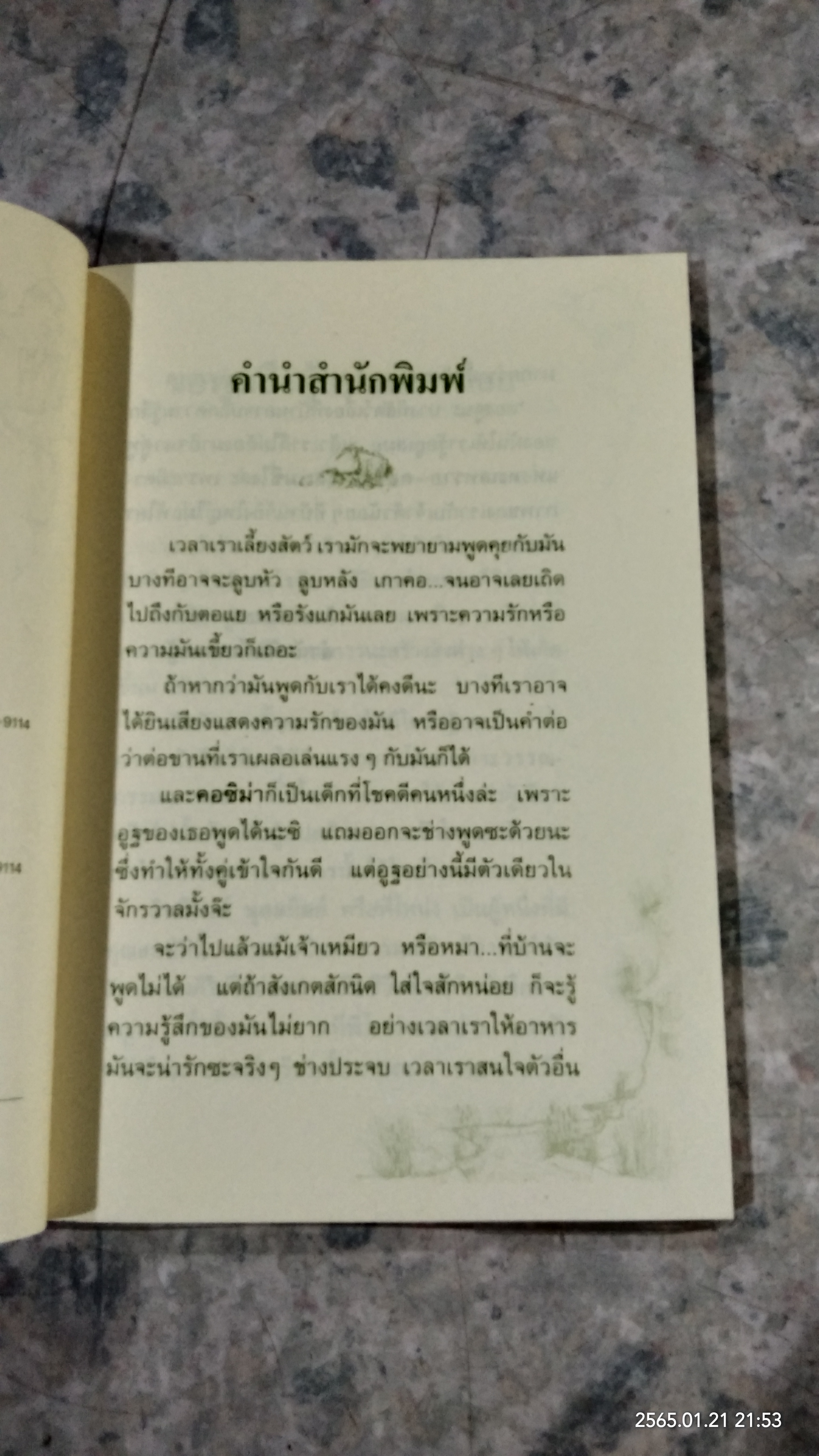 เมซี่...เพื่อนอูฐพูดได้ / แอนดรอ ลิงก์ลาเตอร์