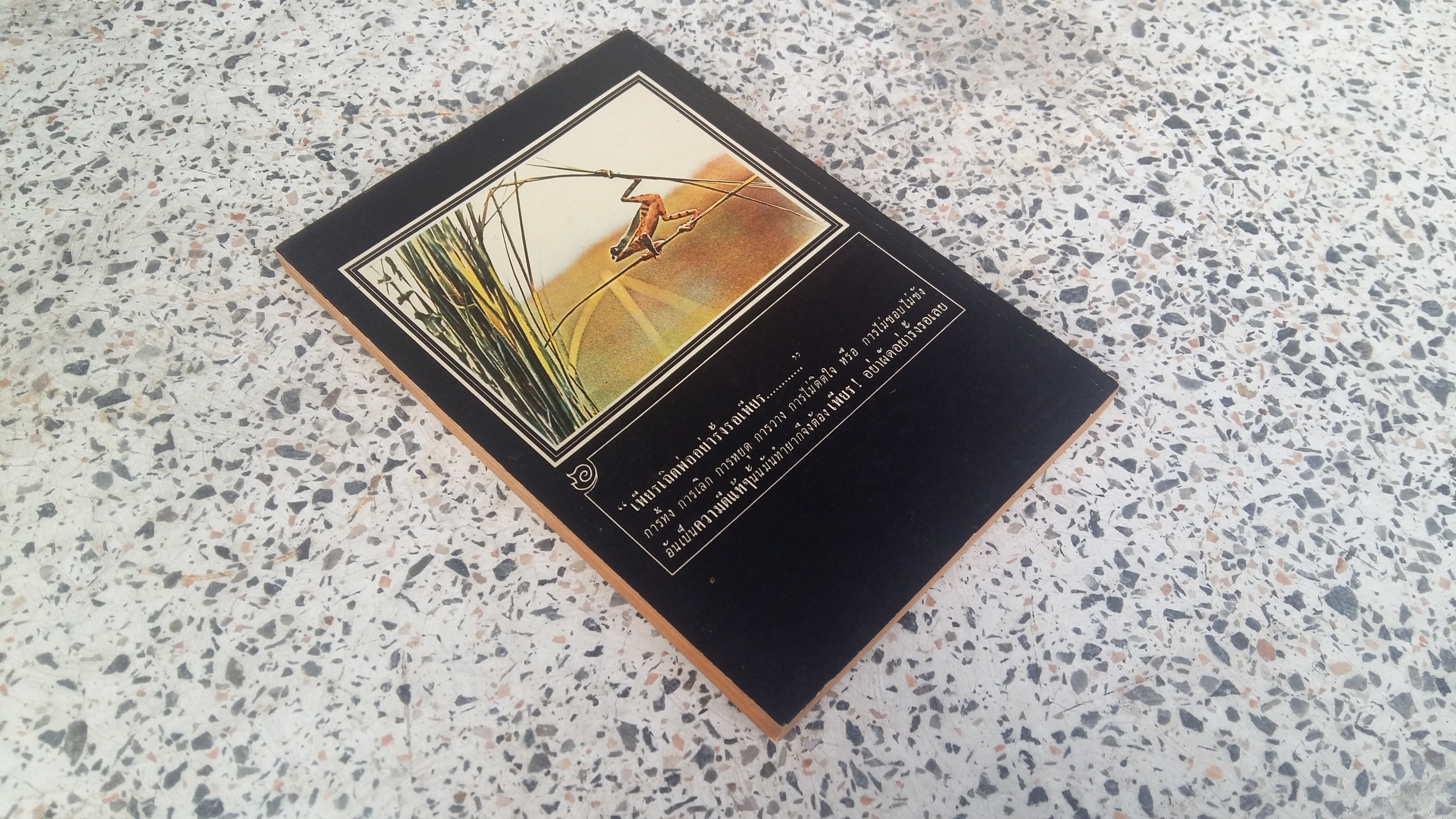 (ส.ค.ส.เล่ม ๕) กิน ด้วย ญาณ ๑๖*