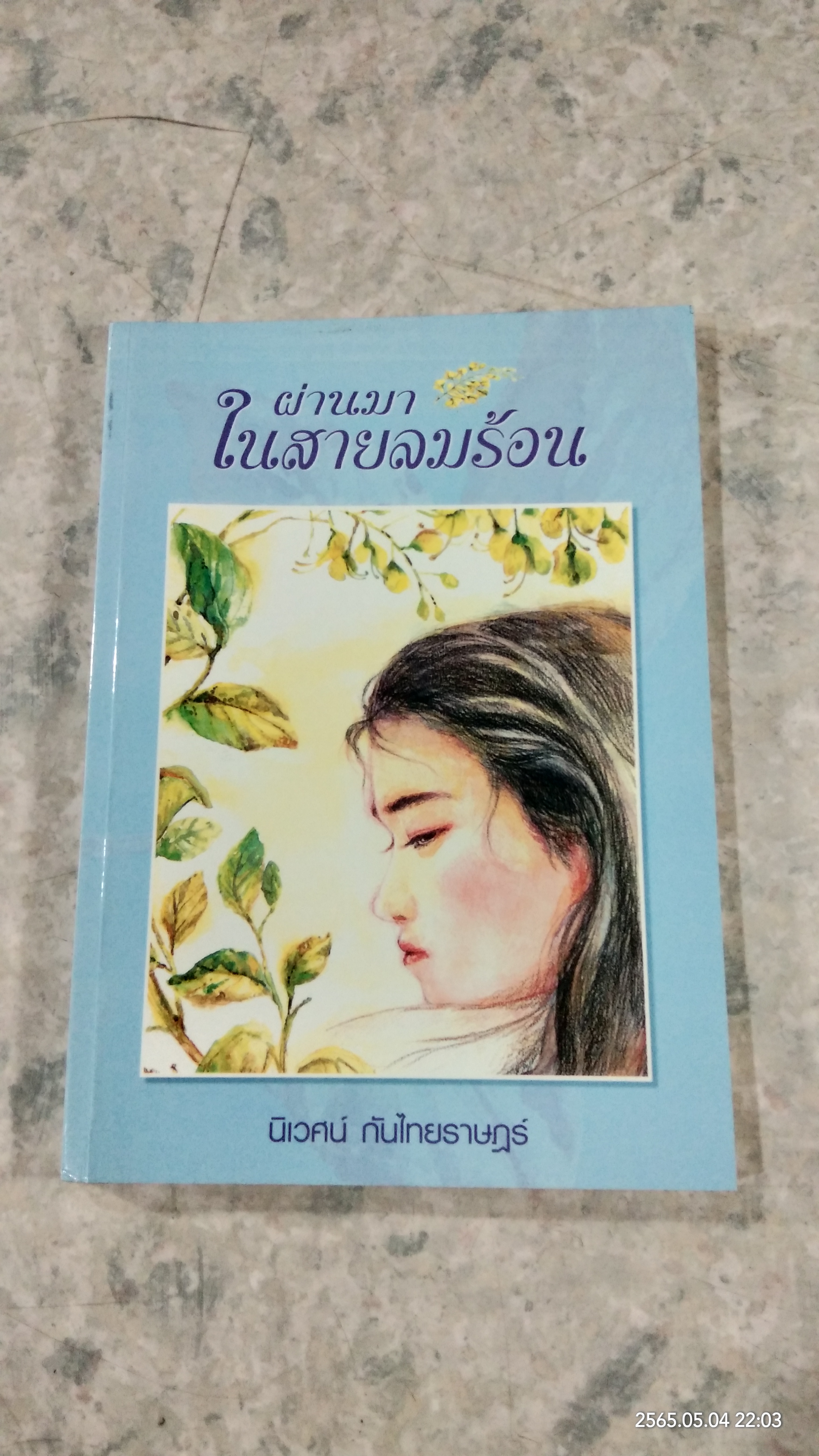 ผ่านมาในสายลมร้อน / นิเวศน์ กันไทยราษฏร์