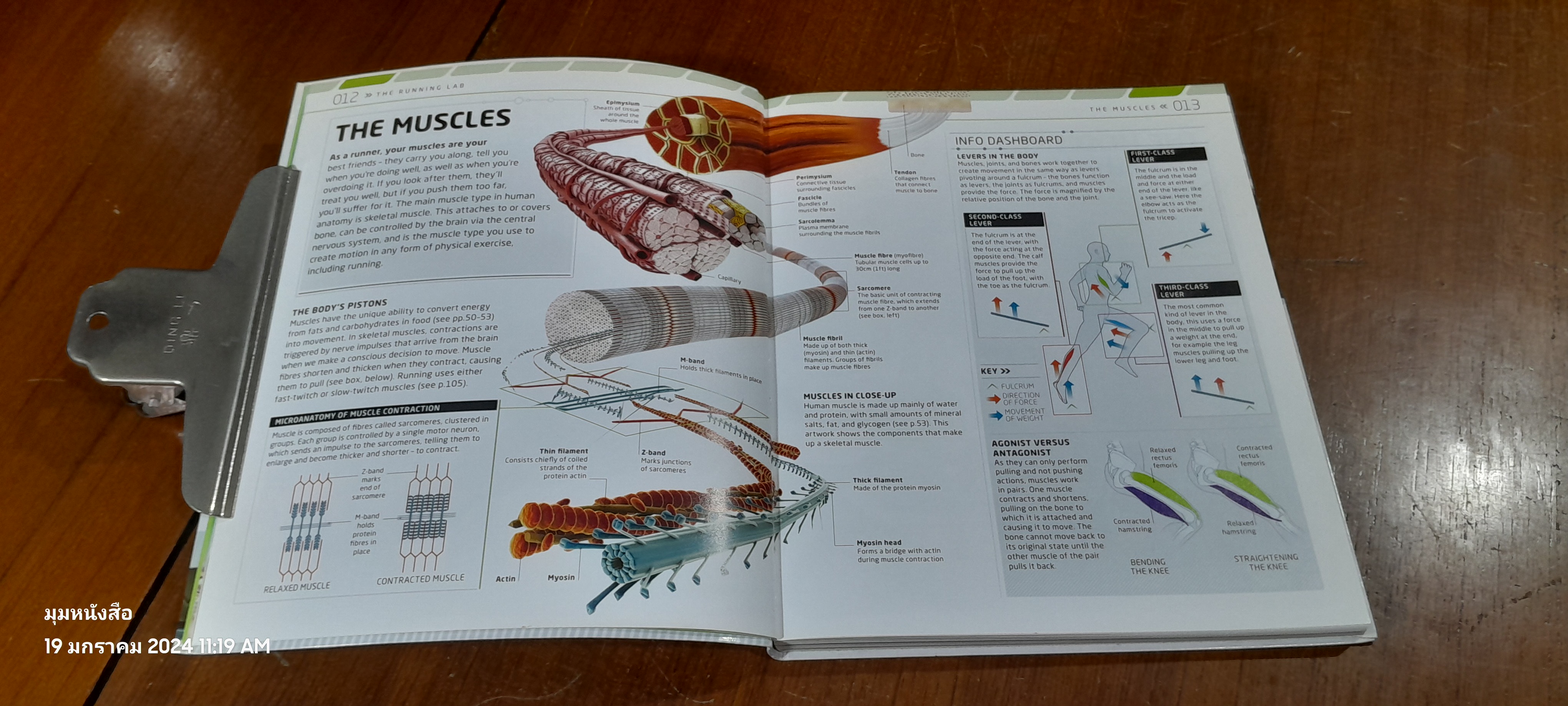 THE COMPLETE RUNNING & MARATHON BOOK