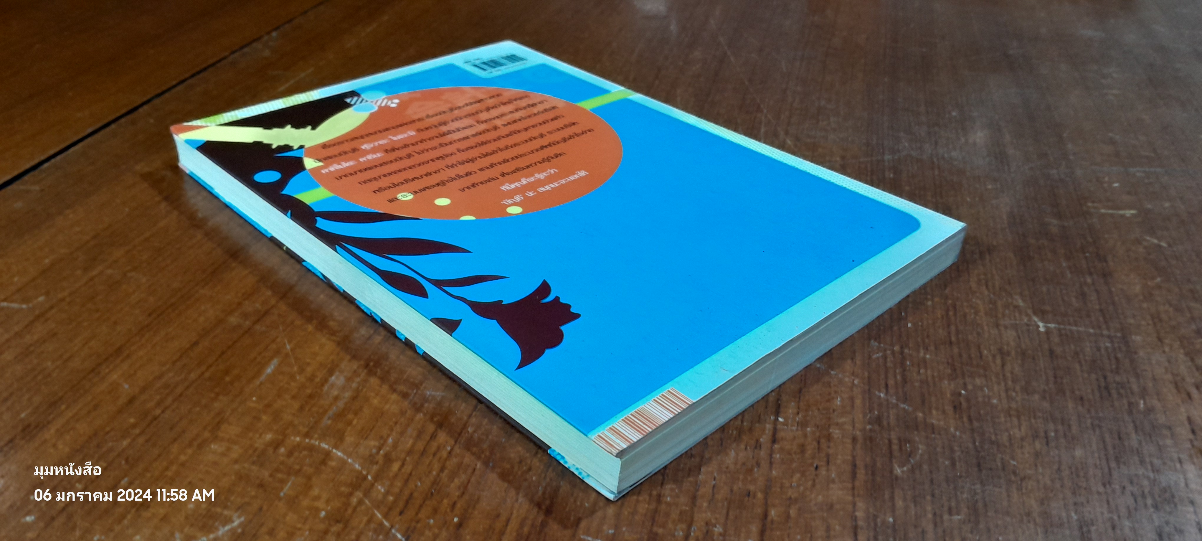 บัญชีสาวยอดนักสืบ / Shinya Yamada