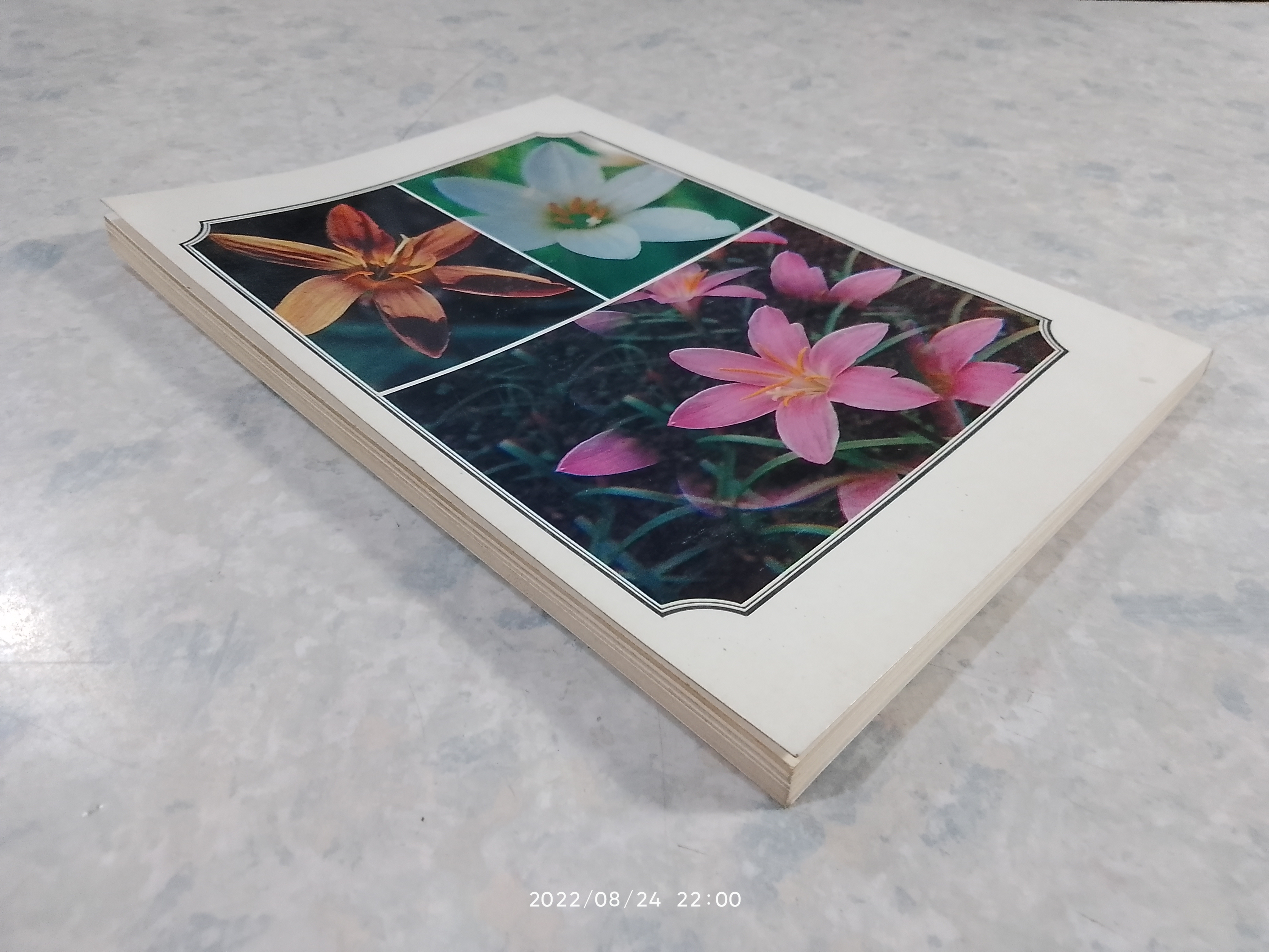 วันต้นไม้ประจำปีแห่งชาติ 2523