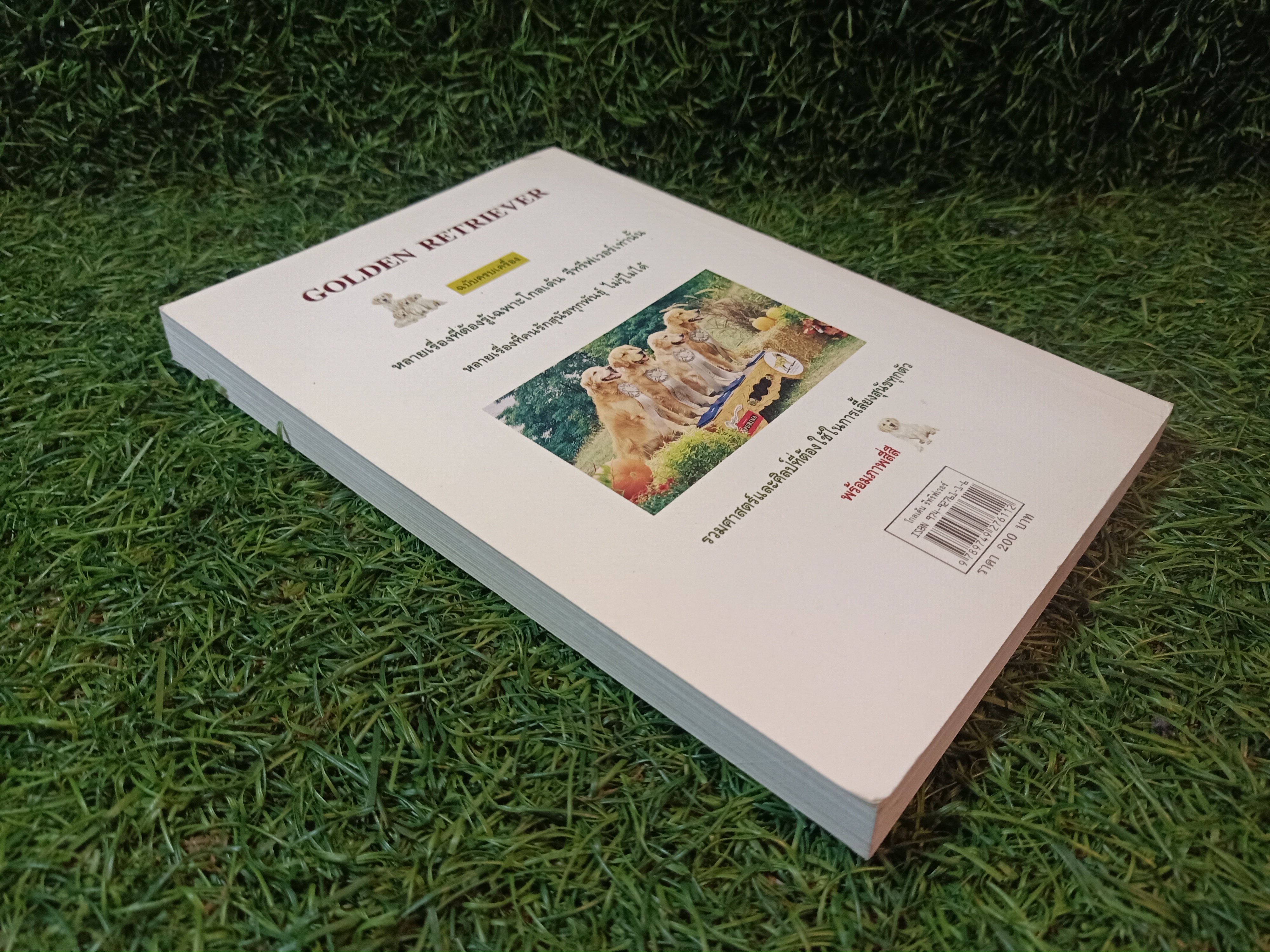 โกลเด้น รีทรีฟเวอร์ / เหมพันธ์ เหมวรนันท์