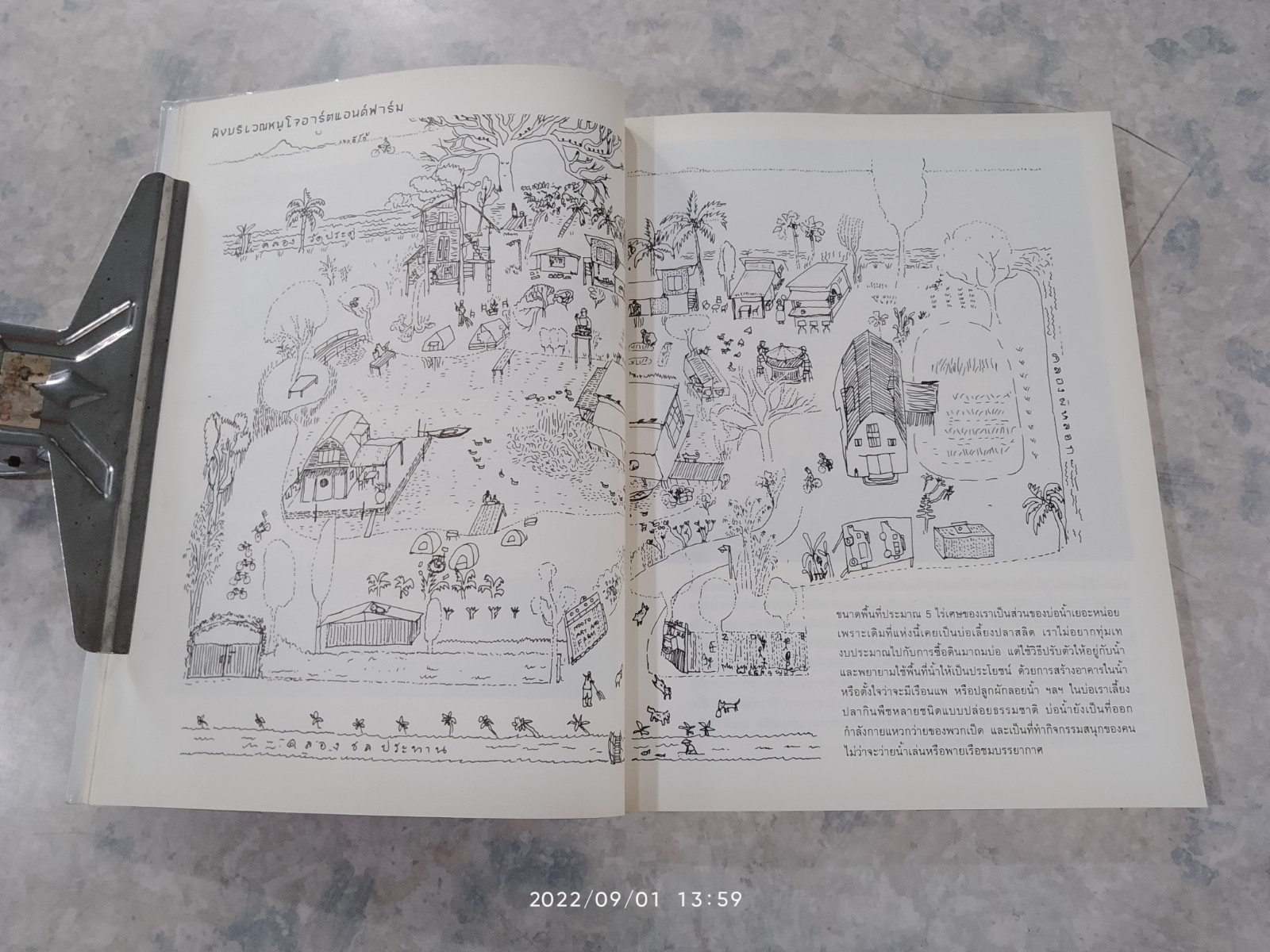 จงทำสวนของเรา / ภัทรพร อภิชิต