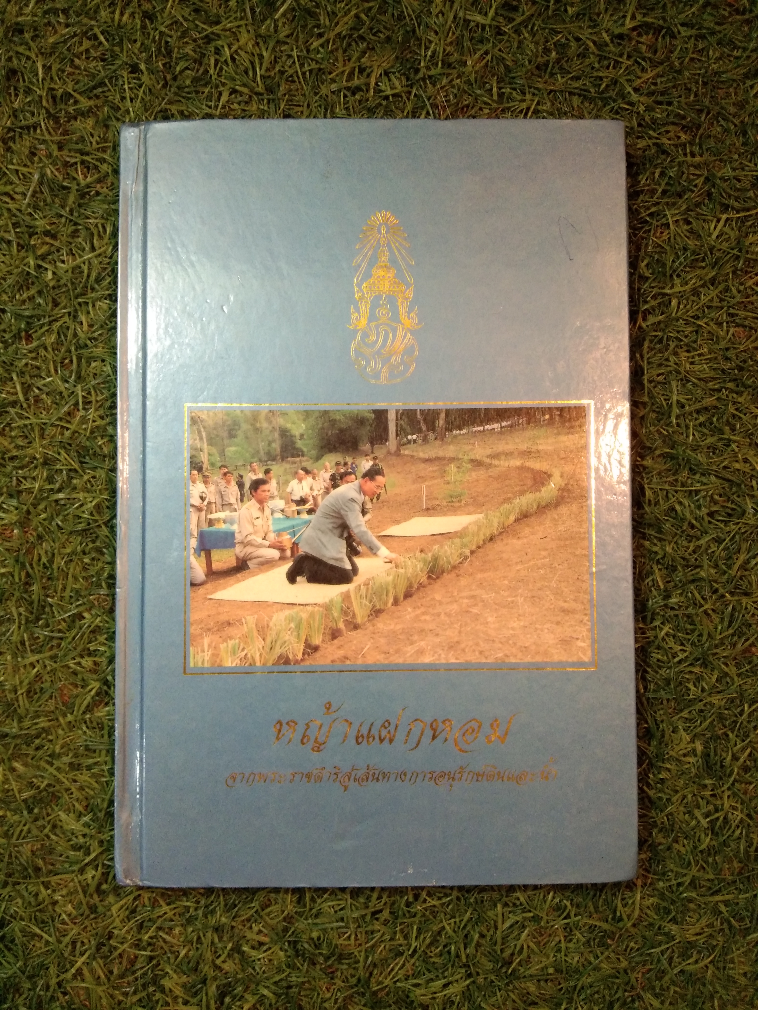 หญ้าแฝกหอม จากพระราชดำริสูเส้นทางการอนุรักษ์ดินและน้ำ