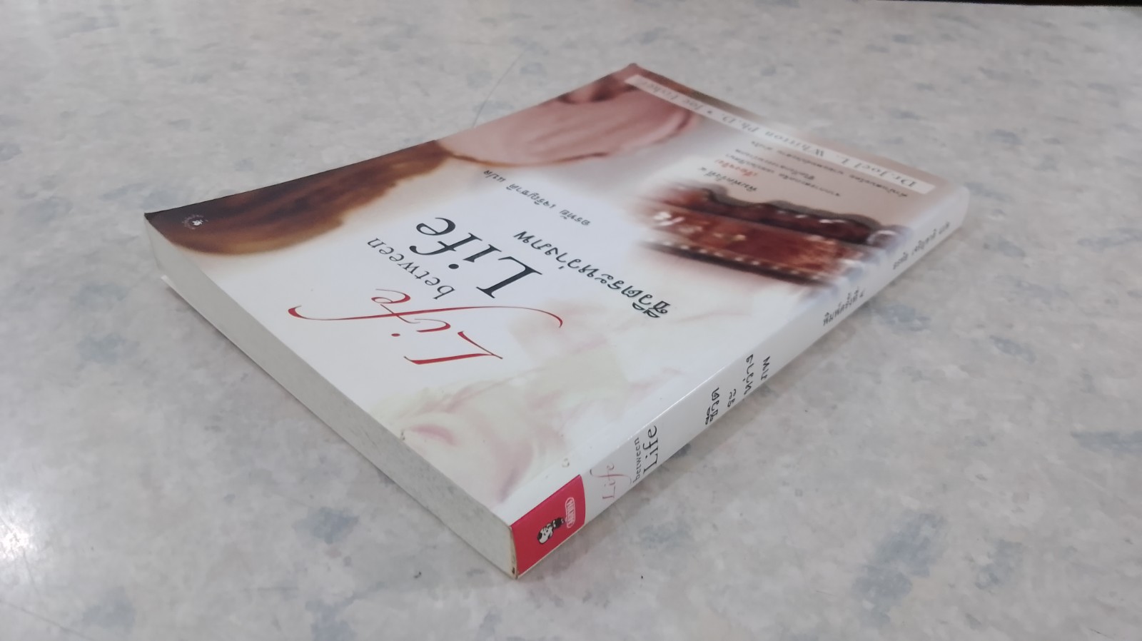 ชีวิตระหว่างภพ / อรทัย เจริญชาติ แปล