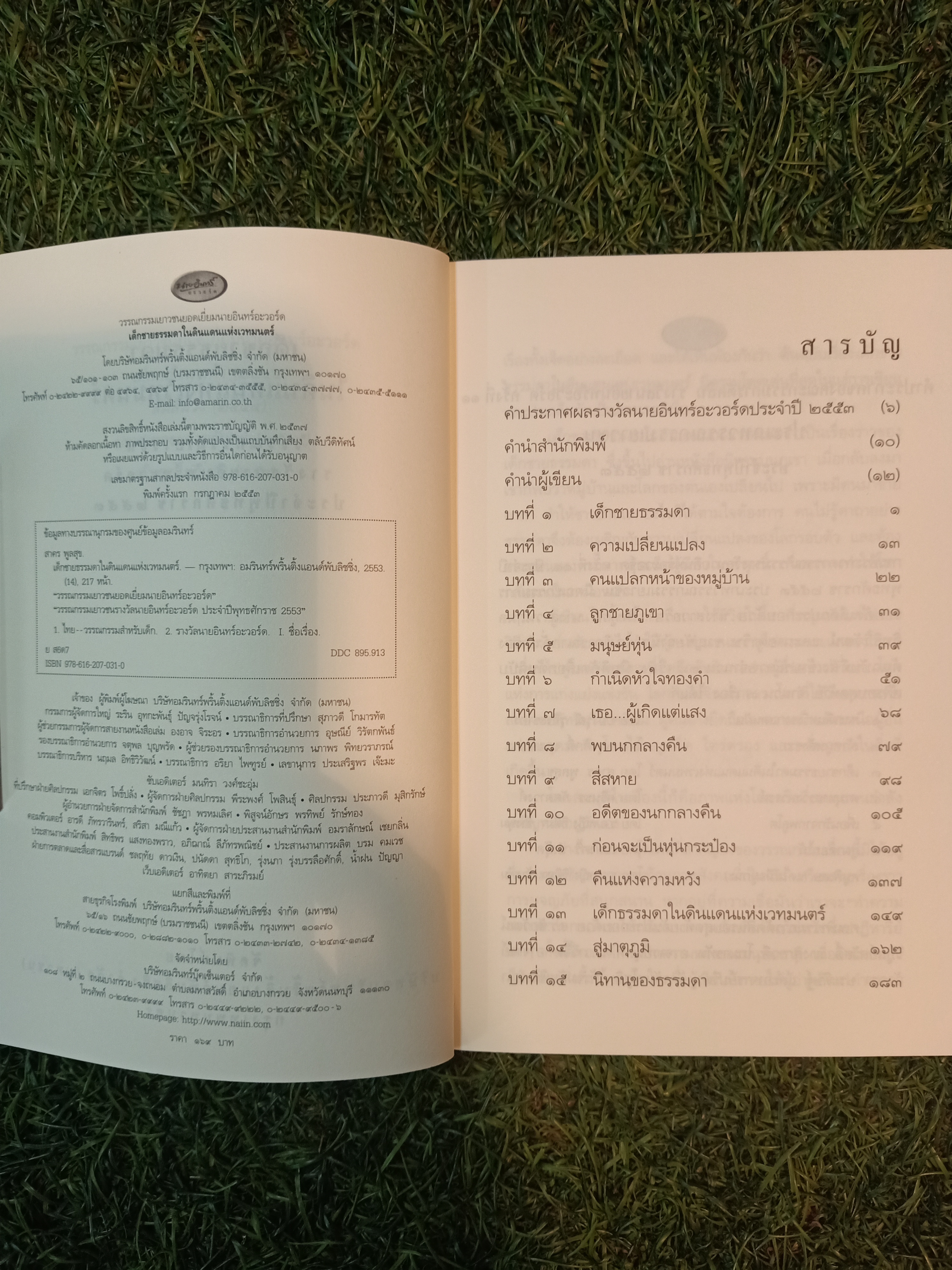 เด็กชายธรรมดาในดินแดนแห่งเวทมนต์ / สาคร พูลสุข