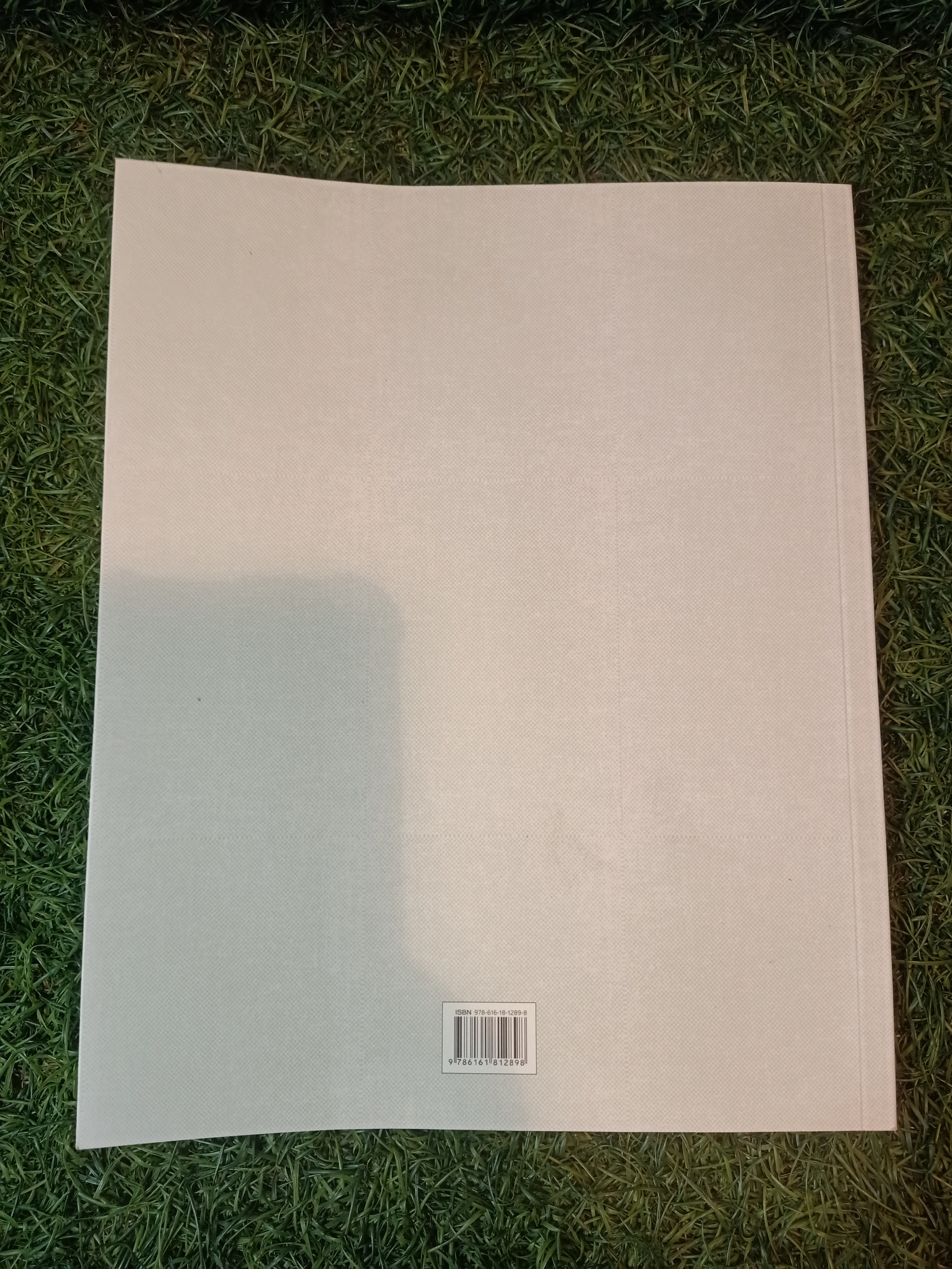 ช่างประจำบ้าน การดูแลและซ่อมบ้านด้วยตนเอง / ศักดา ประสานไทย