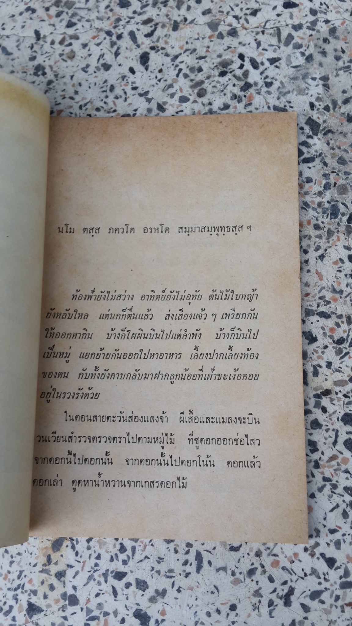 อนุสรณ์ในงานฌาปนกิจศพ นางปิ่มปลื้ม บุนนาค