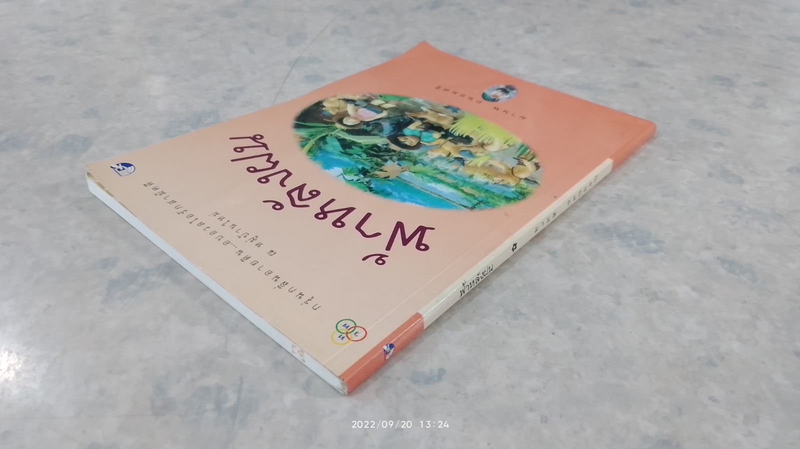 ฟ้าหลังฝน / มานพ ถนอมศรี