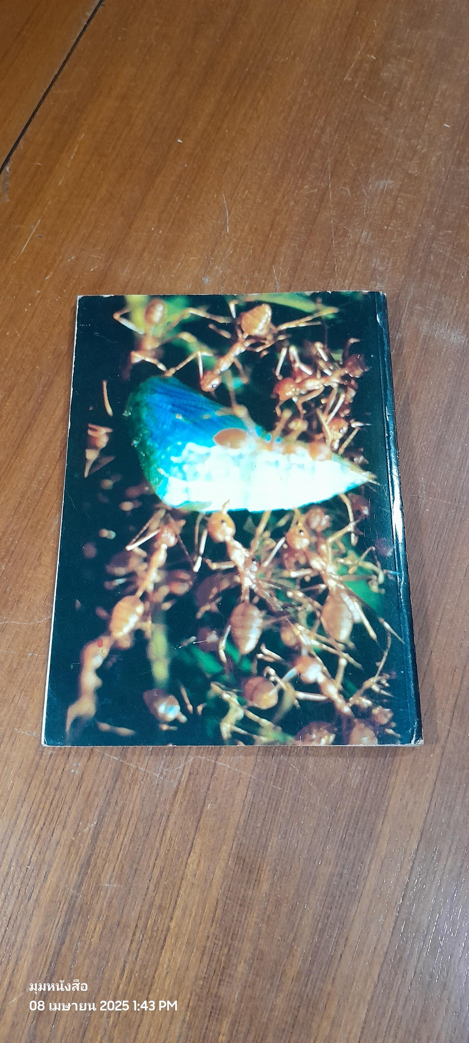 ศัตรูธรรมชาติของศัตรูไม้ผล และการอนุรักษ์ / โกศล เจริญสม,สุอาภา ดิสถาพร