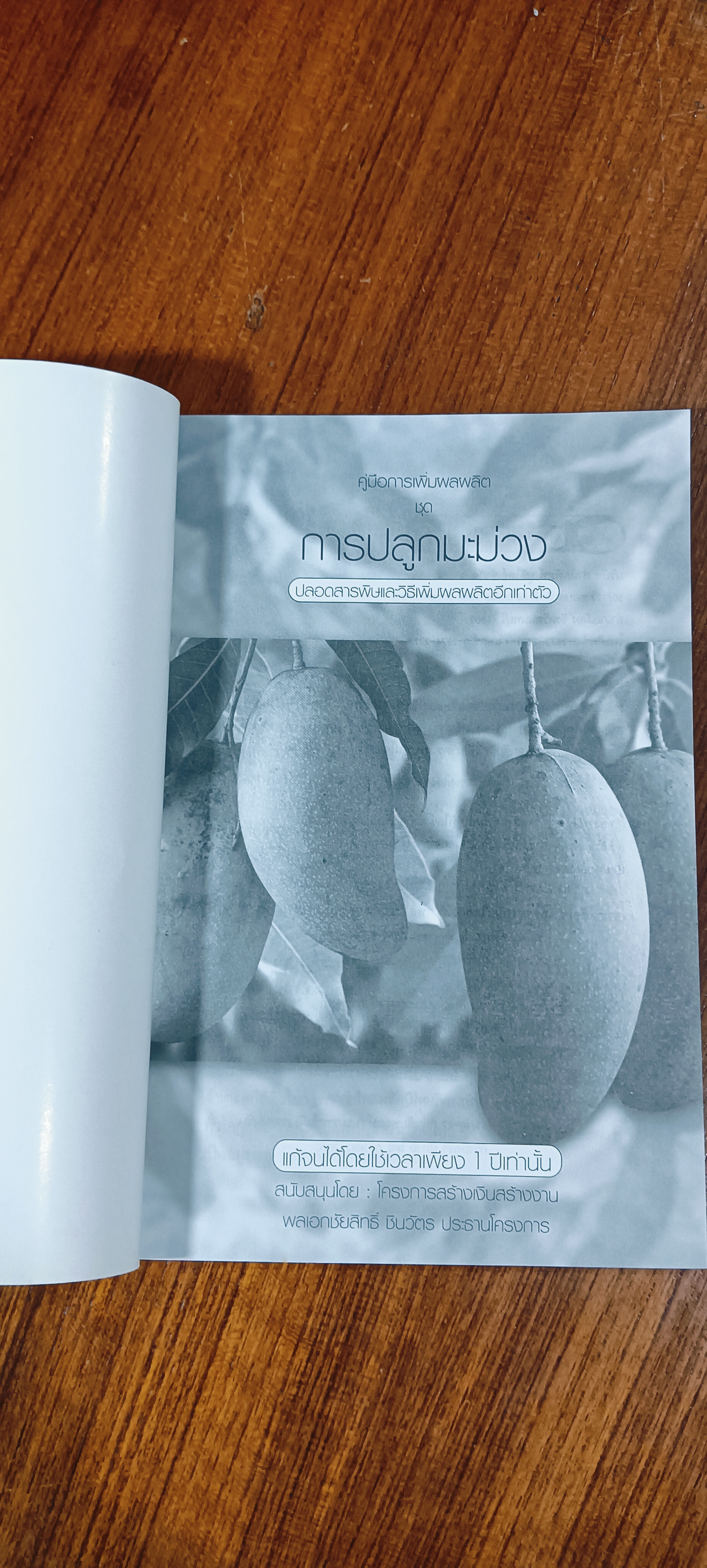 การปลูกมะม่วง ปลอดสารพิษและวิธีเพิ่มผลผลิตอีกเท่าตัว / พันธิตร์ มะลิสุวรรณ