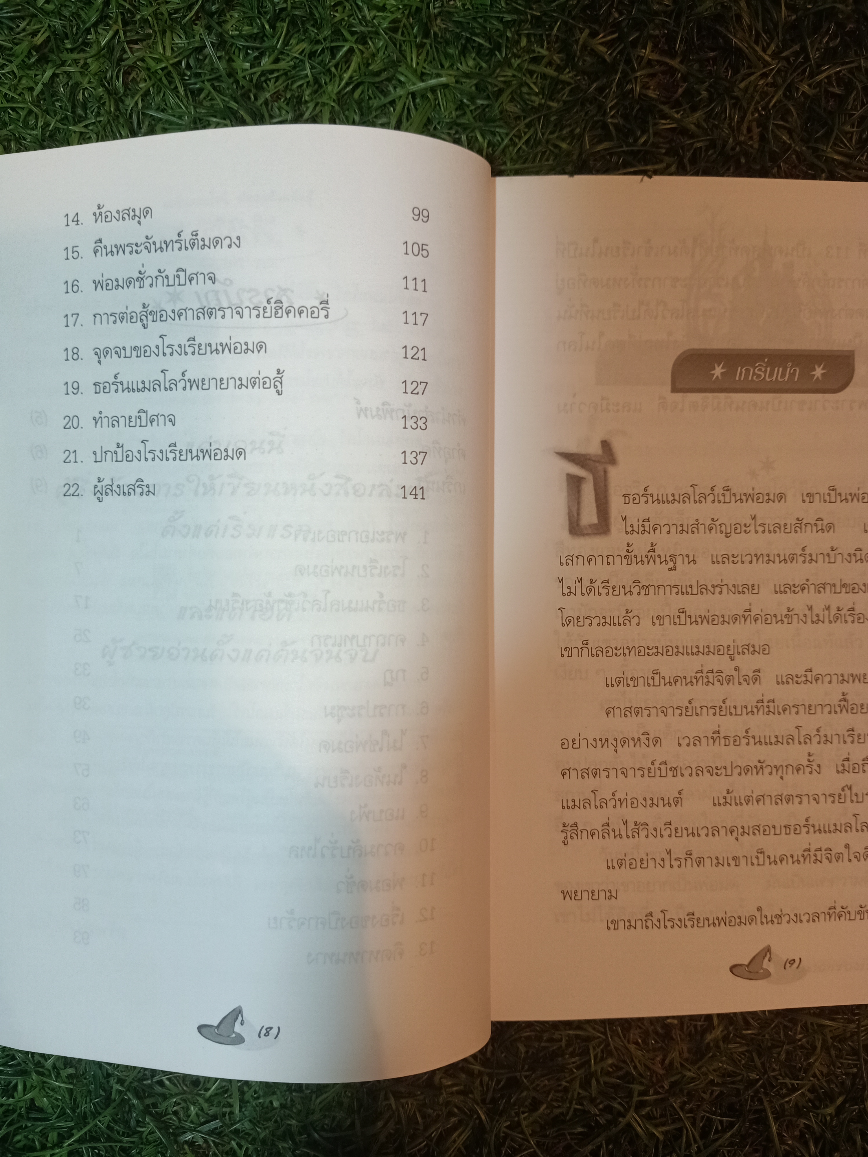 ธอร์นแมลโลว์ พ่อมดน้อย นักสู้ / เจน โยเลน