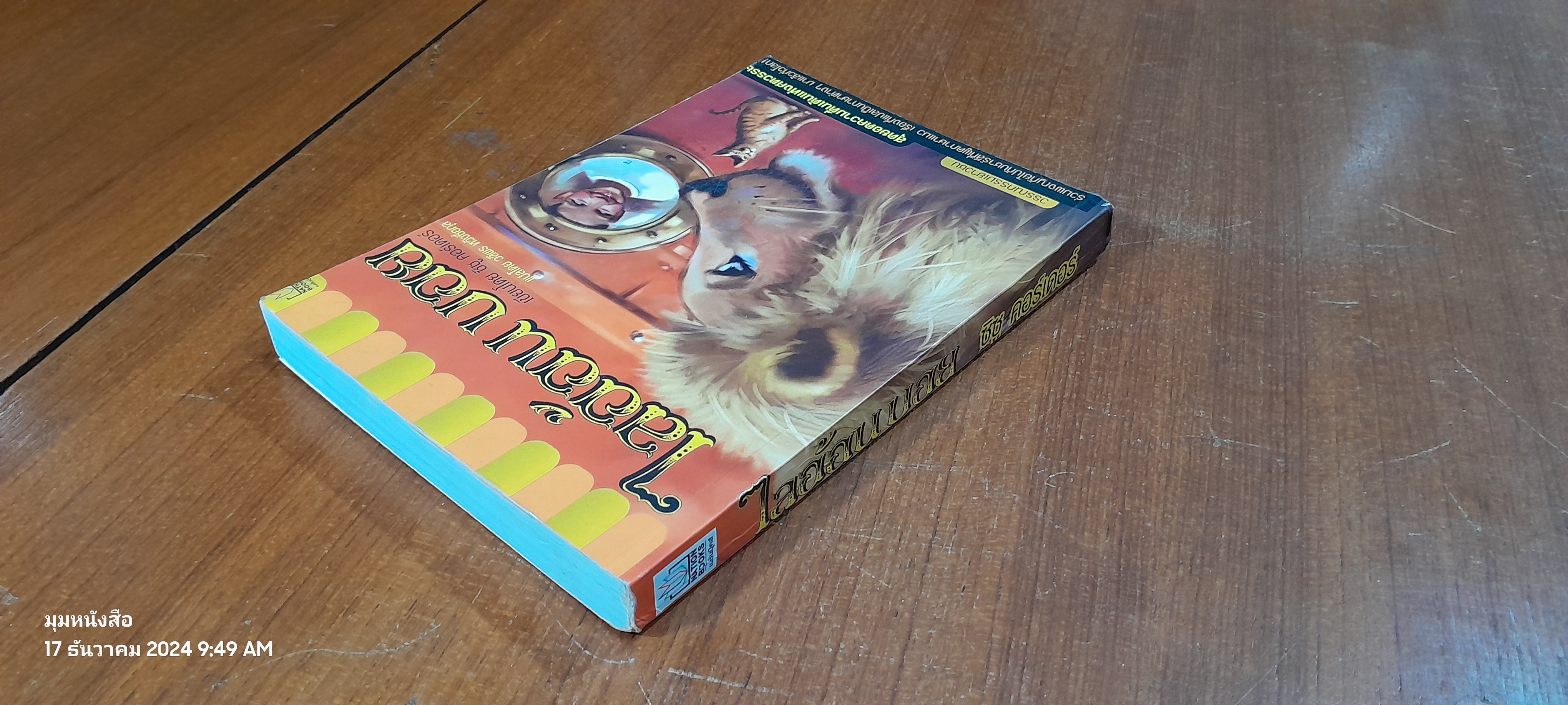 ไลอ้อน บอย / ซิซู คอร์เดอร์ (สภาพไม่สมบูรณ์)