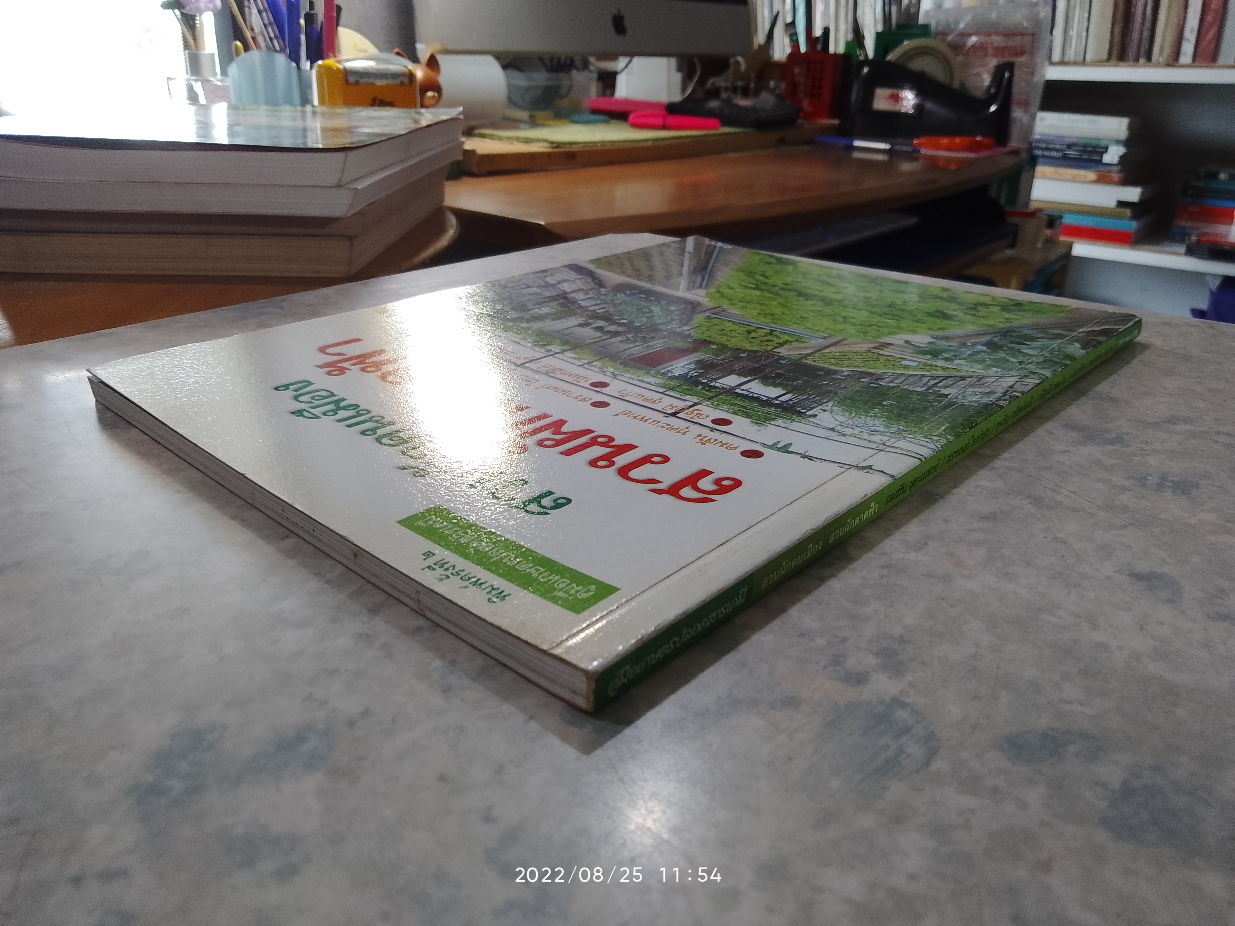 สวนผักคนเมือง สวนผักดาดฟ้า / คมสัน หุตะแพทย์