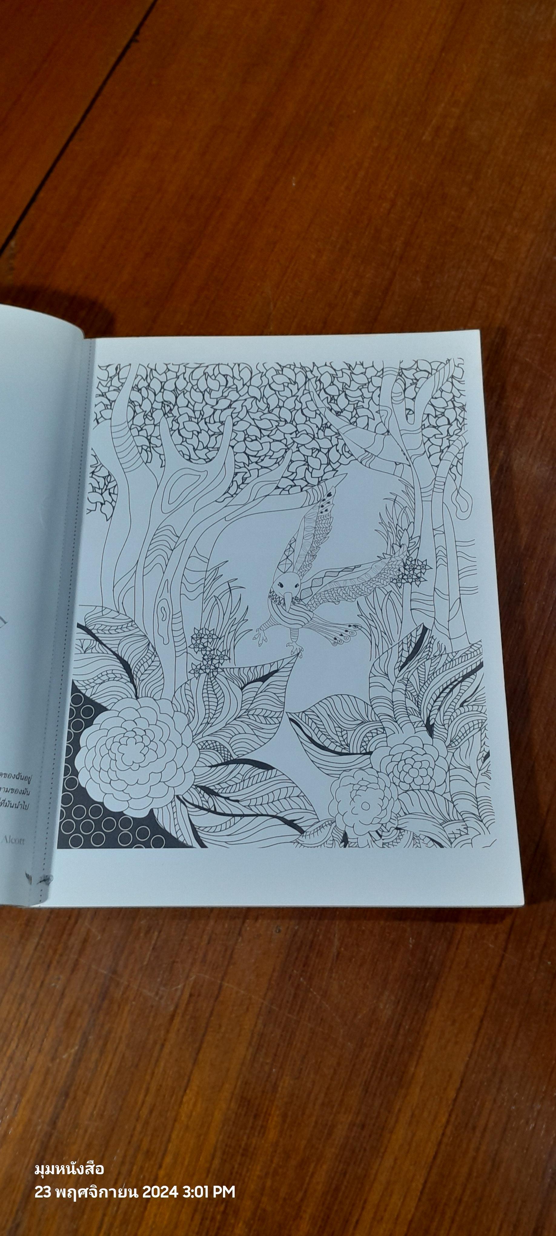 ปักษาล่าฝัน / Christina Rose ( มีรอยขีดเขียนด้านใน )