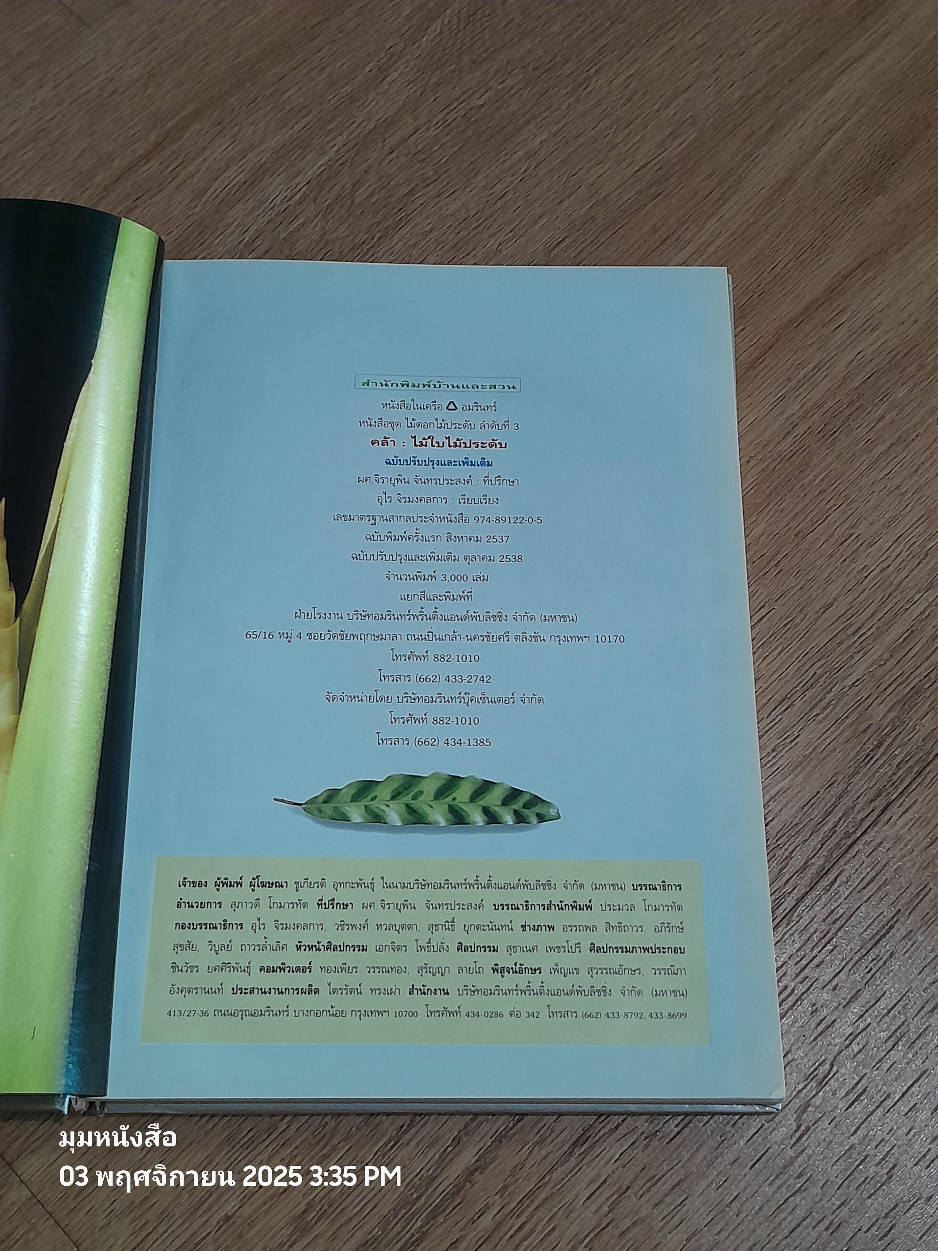 คล้า : ไม้ใบไม้ประดับ