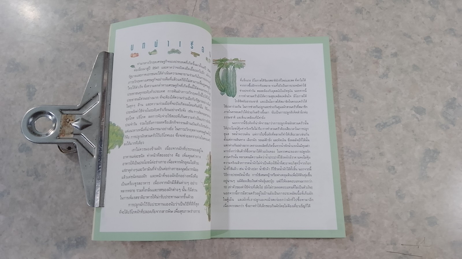 สวนผักรักษ์ไทย / ธ.กสิกรไทย