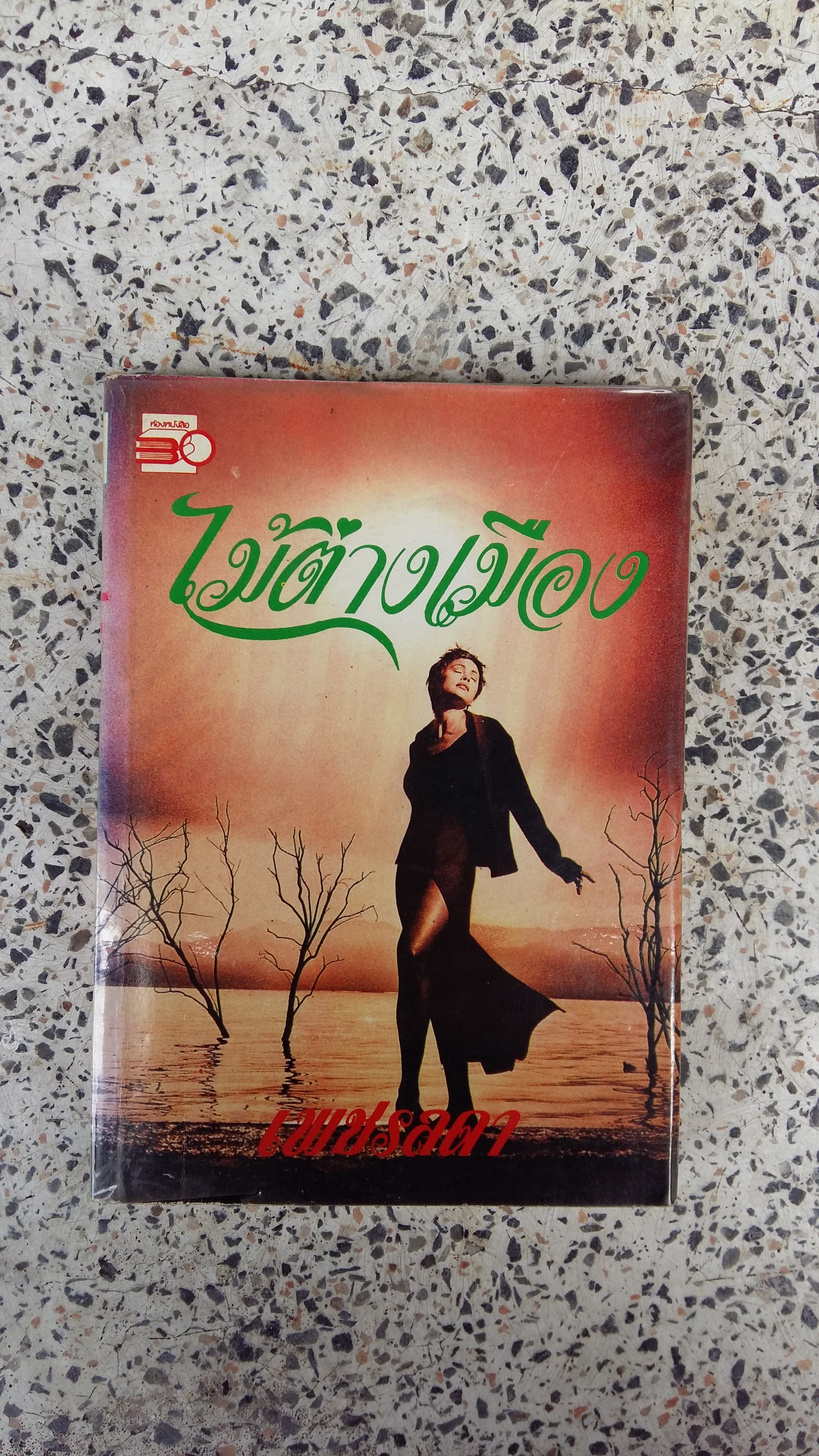 ไม้ต่างเมือง / เพชรลดา / เสนีย์ บุษปะเกศ