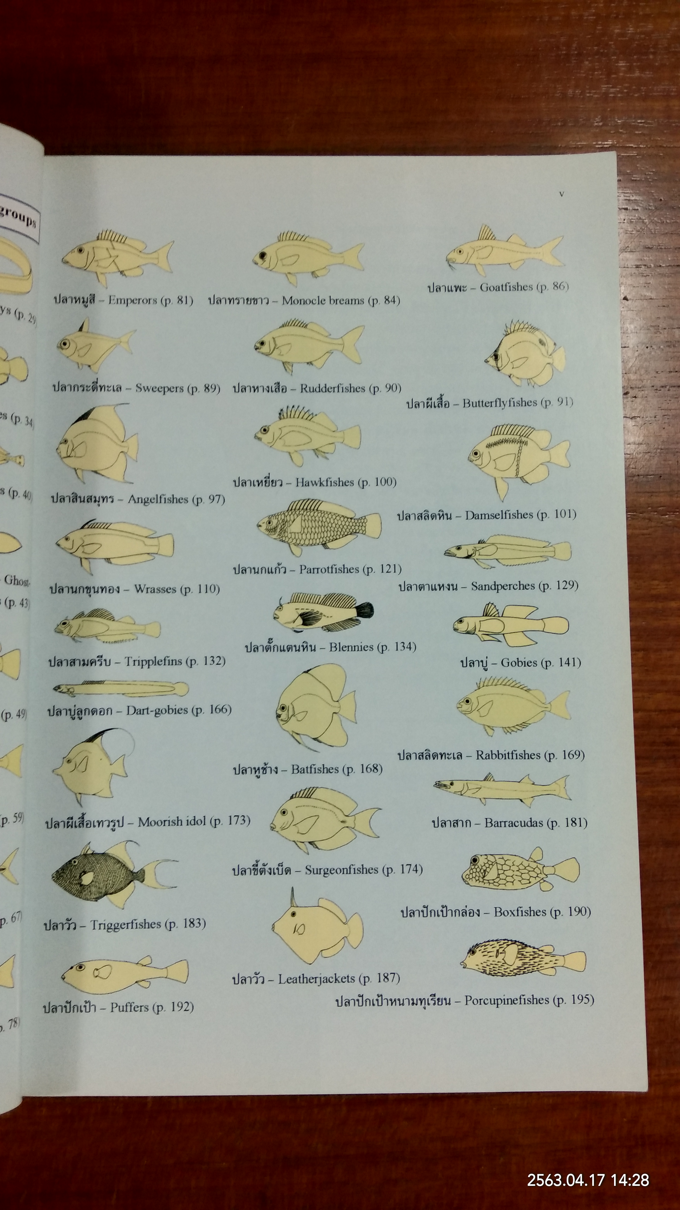 คู่มือปลาในแนวปะการัง ฝั่งทะเลอันดามันของประเทศไทย / กรมทรัพยากรทางทะเลชายฝั่ง